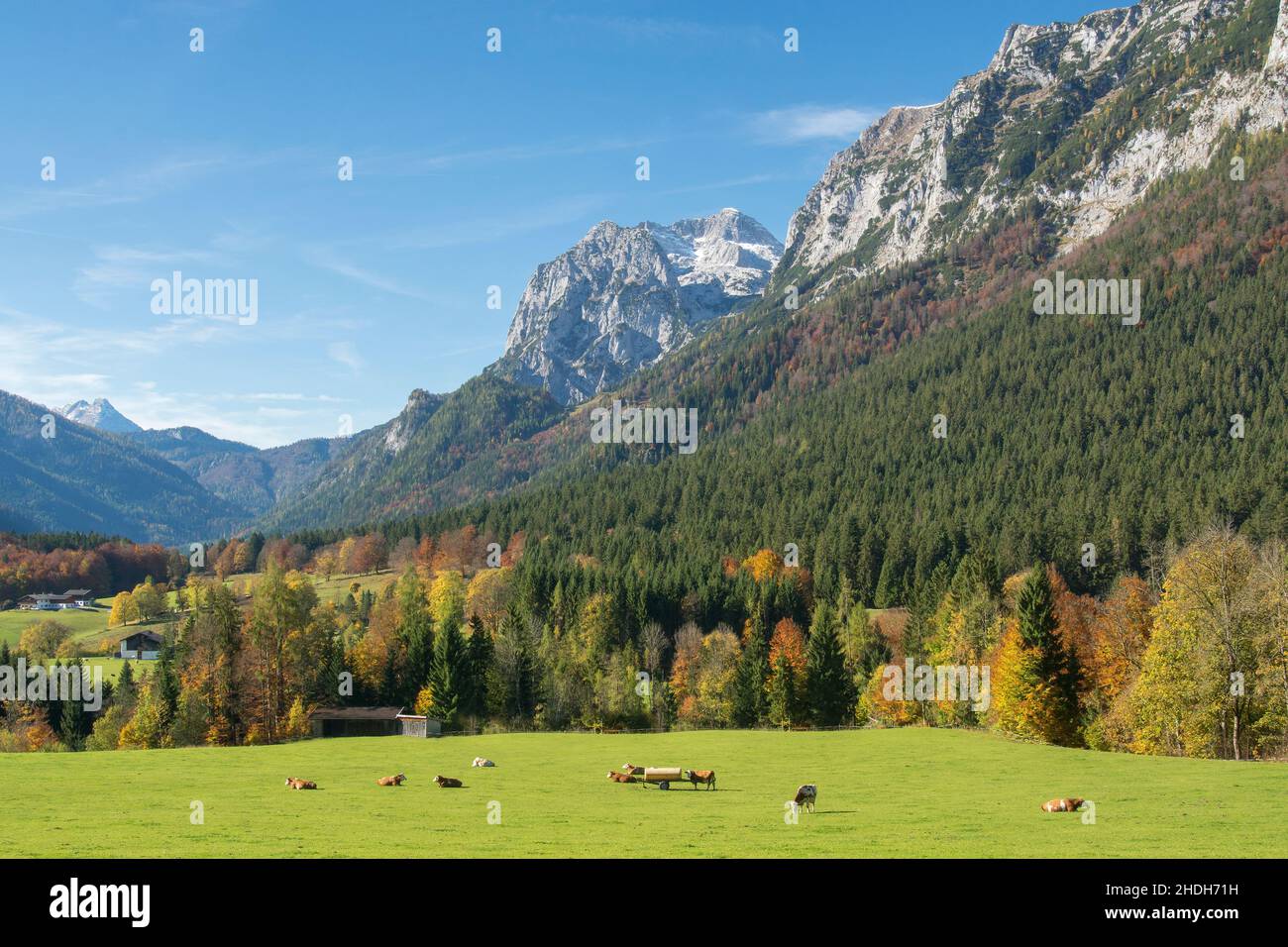 mountain range, european alps, berchtesgadener land, reiteralpe, mountain ranges, berchtesgadener lands, reiteralpes Stock Photo