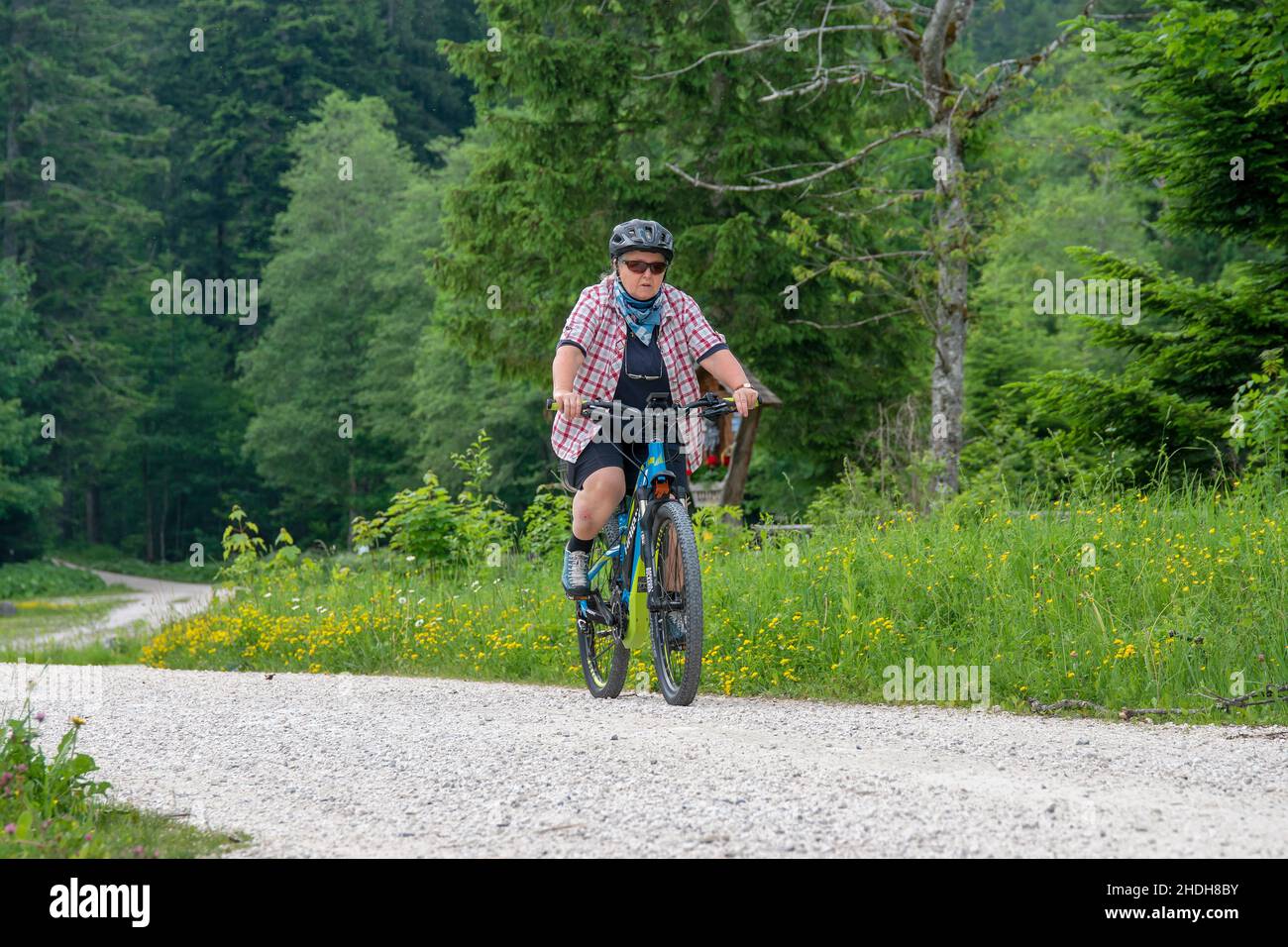 mountain bike for seniors
