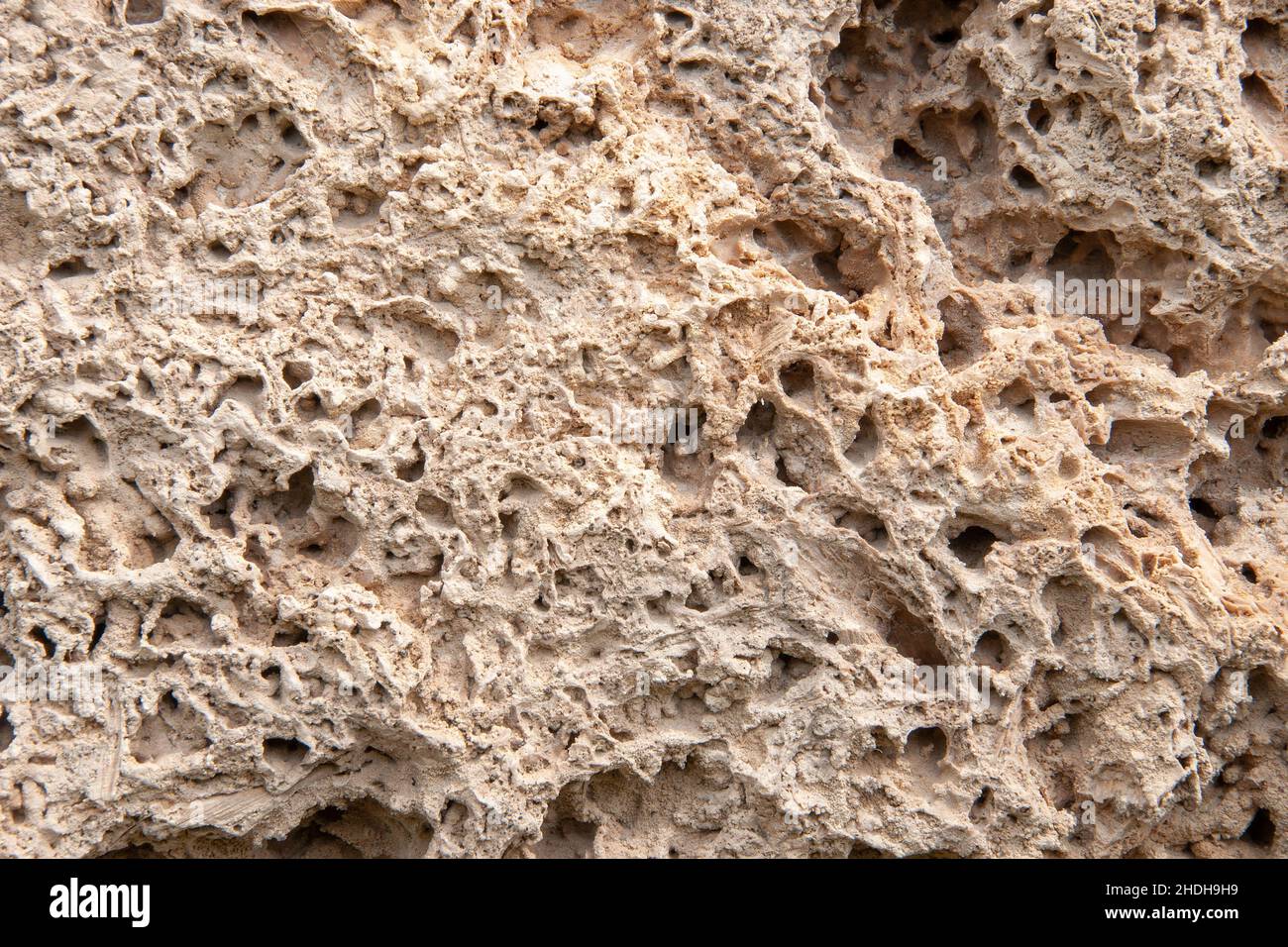 wall, surface, porous, walls, surfaces Stock Photo Alamy