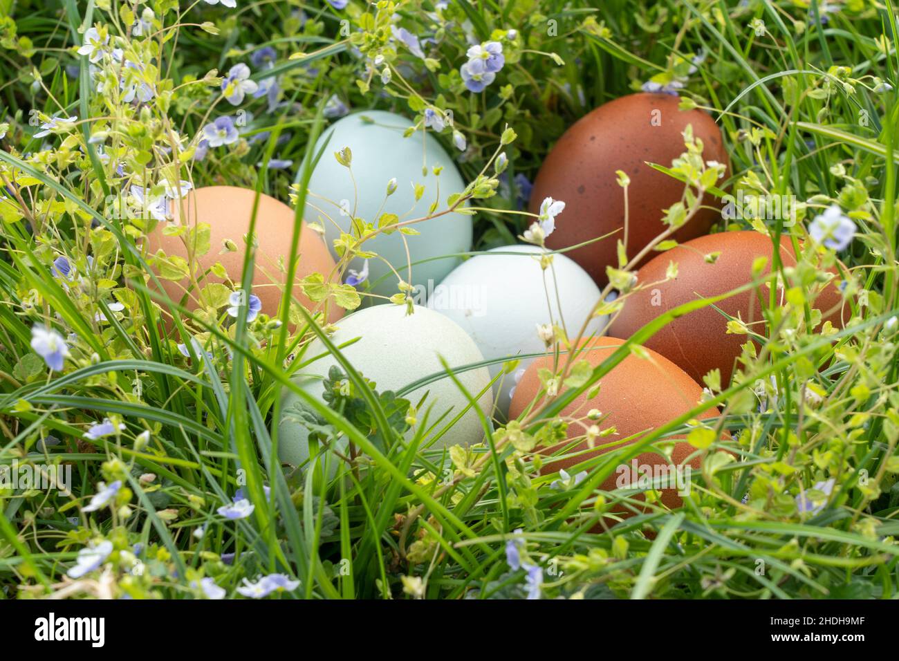 Hinding places hi-res stock photography and images - Alamy