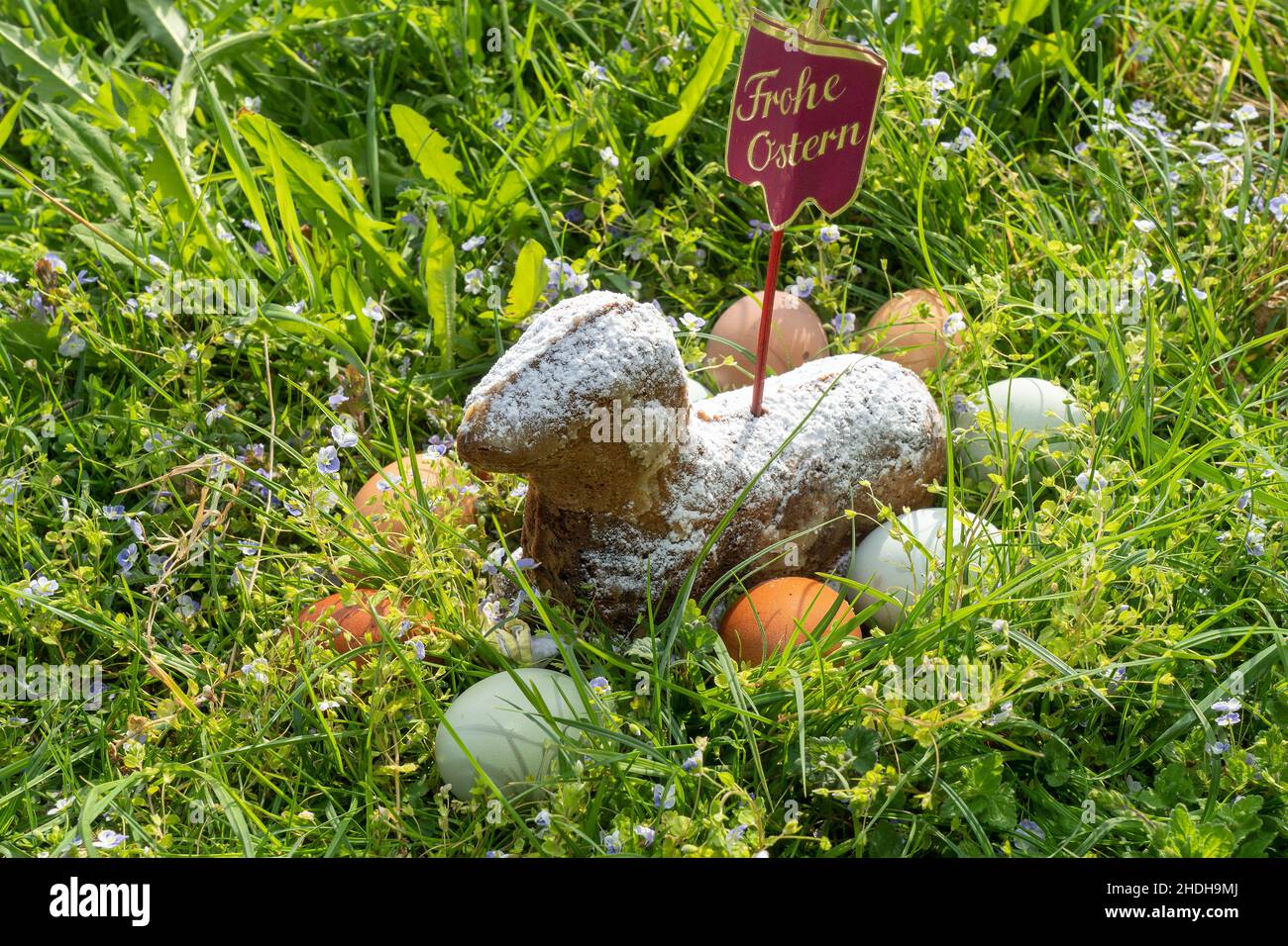 easter, happy easter, easter hinding place, easters, happy easters, hinding places Stock Photo