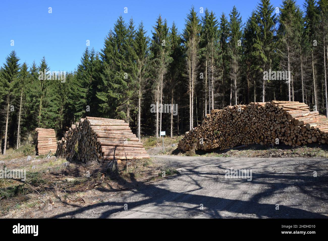 wood pile, forestry, timber industry, wood piles, forestries, lumber
