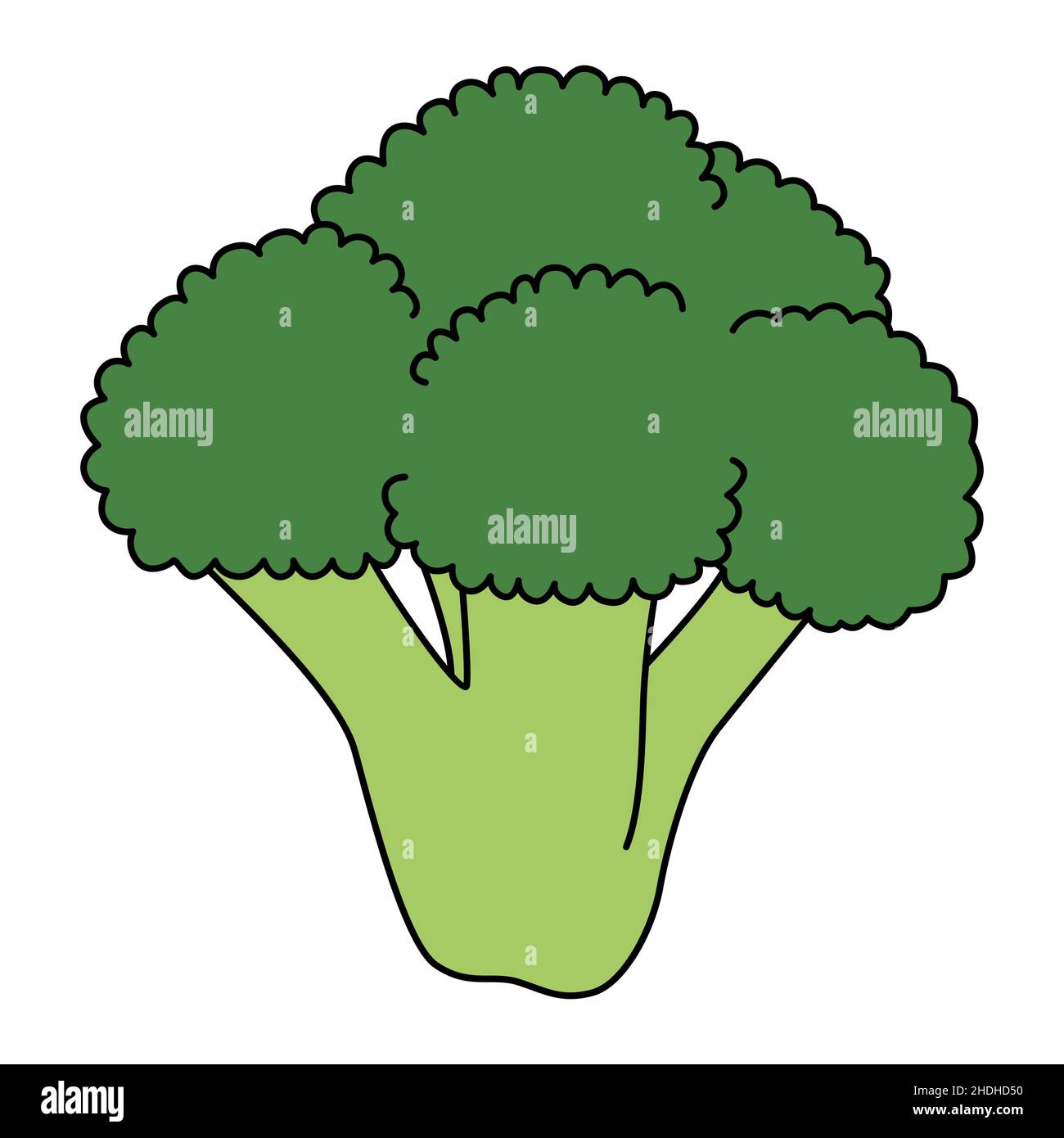 Cartoon branch of broccoli. Colorful vegetable. Vector illustration isolated on white background Stock Vector