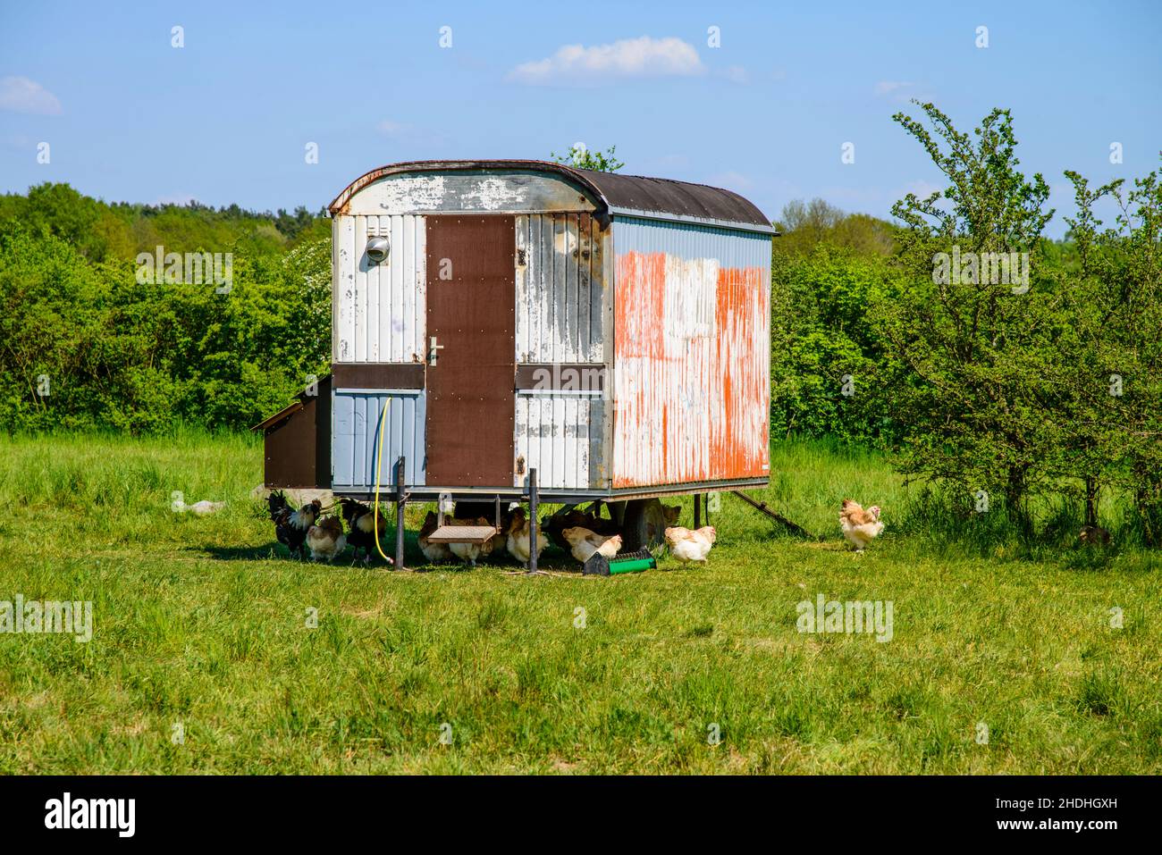 chicken coop, trailer, chicken coops, trailer home, trailers Stock