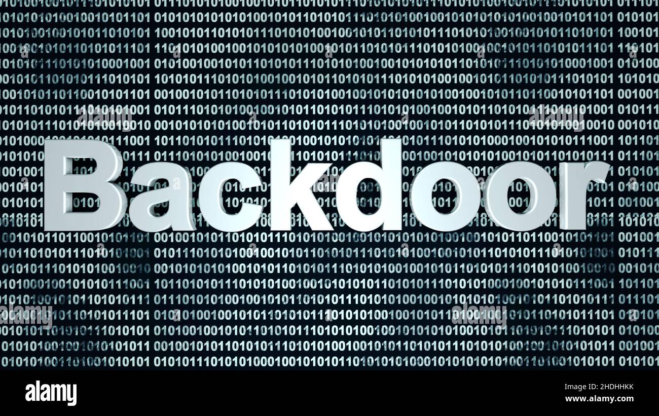 computer crime, vulnerability, backdoor, computer crimes, fragile