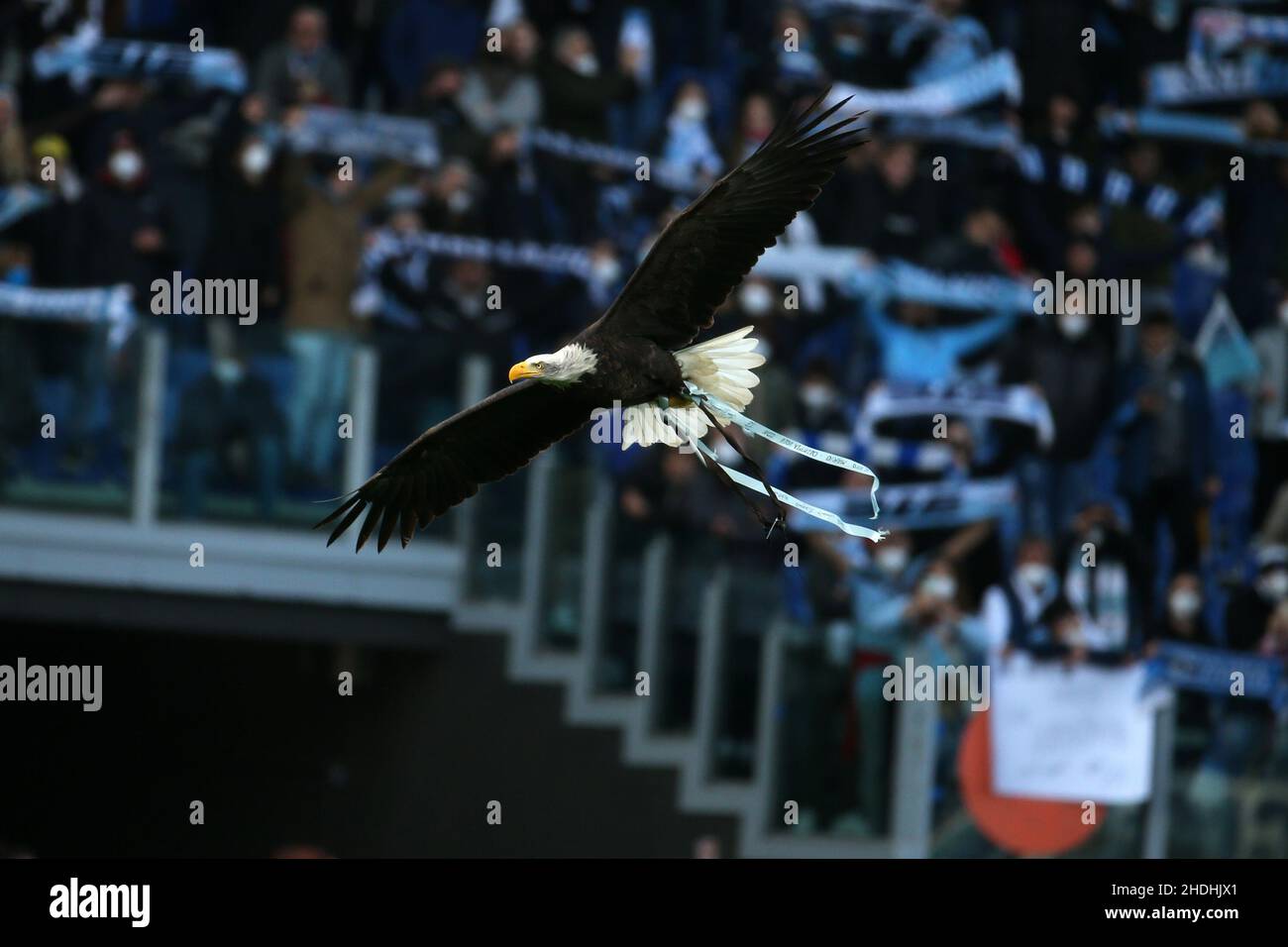 The eagles mascot hi-res stock photography and images - Alamy