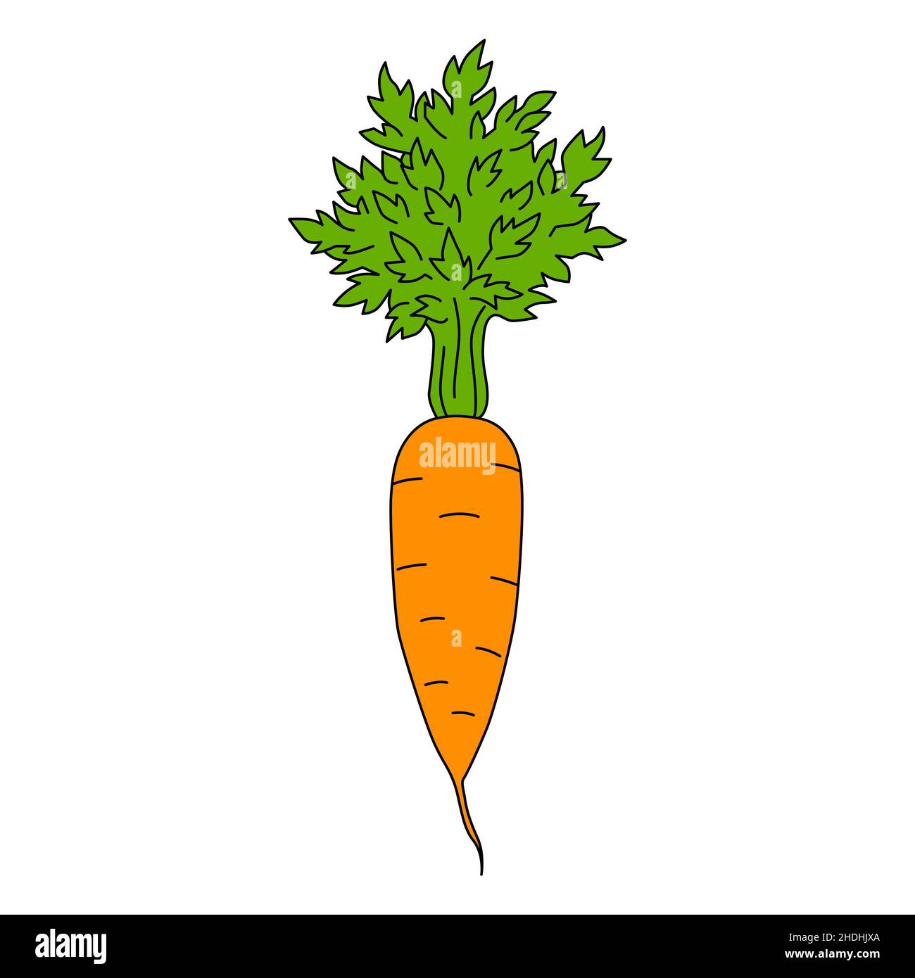 Cartoon carrot isolated on white background. Colorful vector illustration of raw vegetable Stock Vector