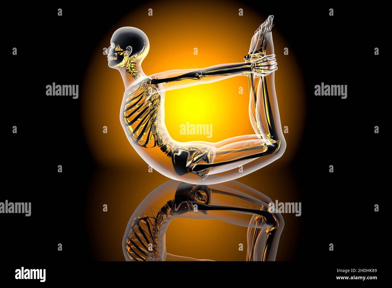 yoga, arc, skeleton, flexibility, yogas, arcs, skeletons Stock Photo
