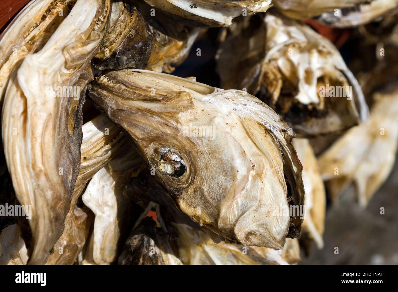dried fish, dried fishes Stock Photo Alamy