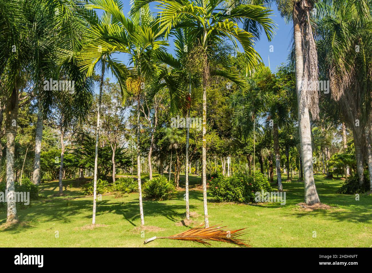 National Botanical Garden in Santo Domingo, capital of Dominican