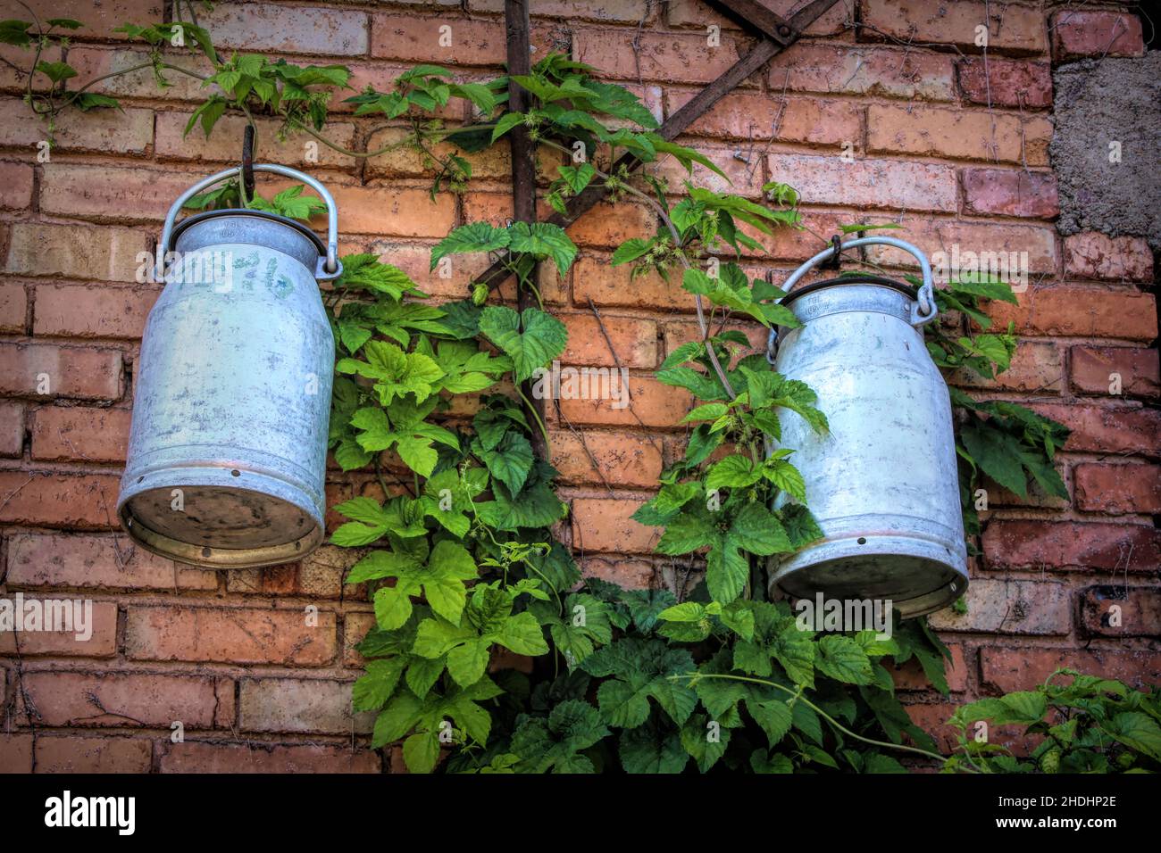milk jug, milk jugs Stock Photo Alamy