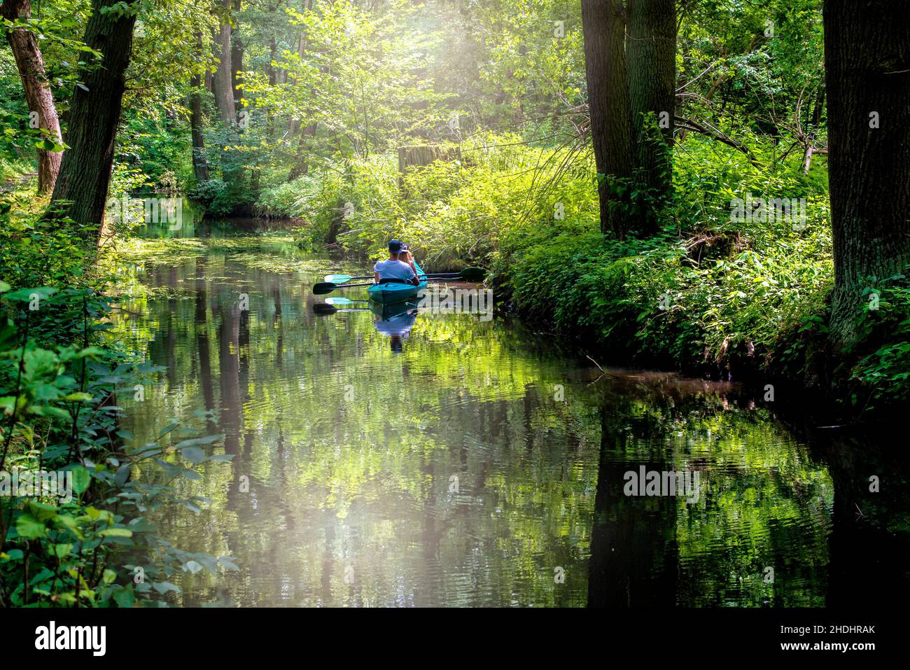 wilderness, spree forest, canoeing, wild, spree forests, canoes, canoing Stock Photo