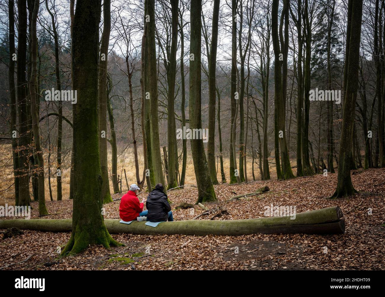 hiking, picnic, rest, picnics, break, resting Stock Photo