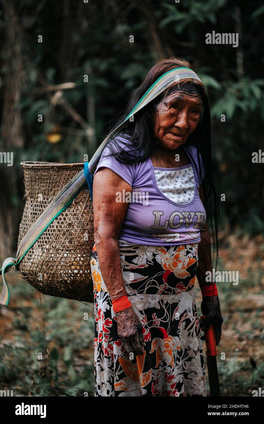Indigenous Woman farming yucca in Amazon Rainforest Stock Photo