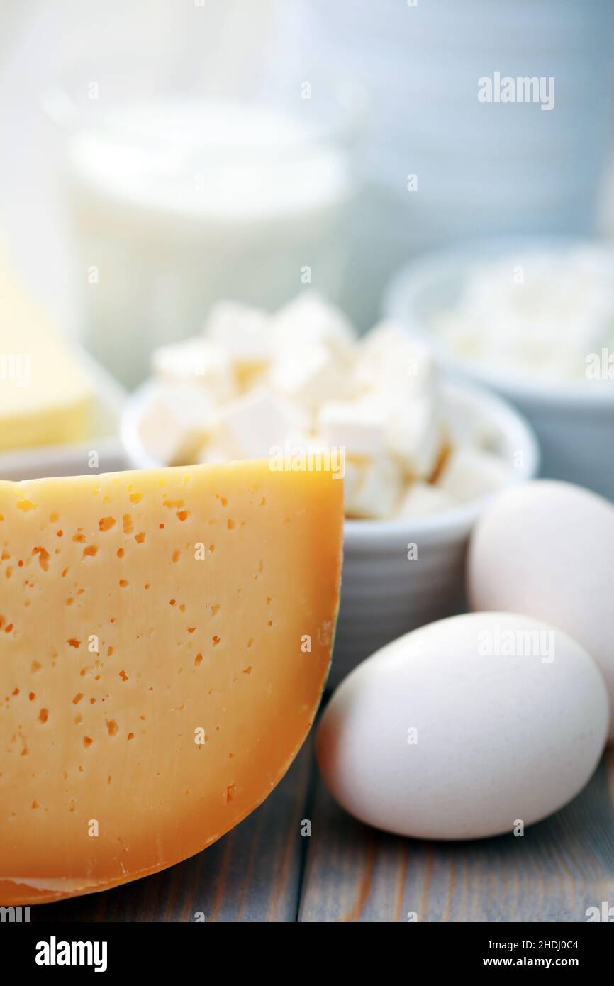 chicken egg, cheese, milk product, chicken eggs, cheeses, milk products