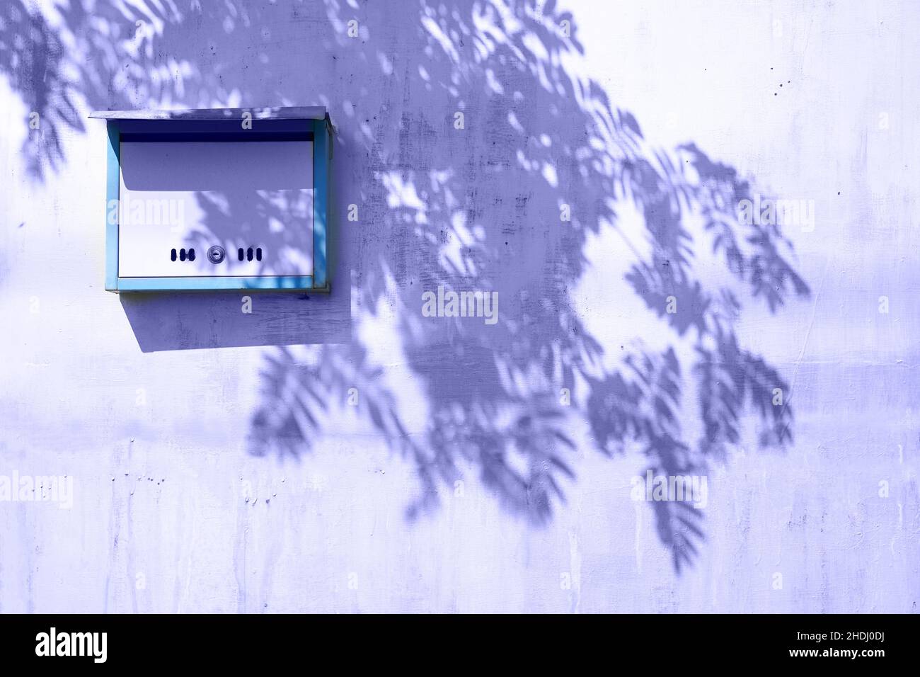 The shadow of a rowan tree on a gray background. Mailbox on the wall. High quality photo Stock Photo