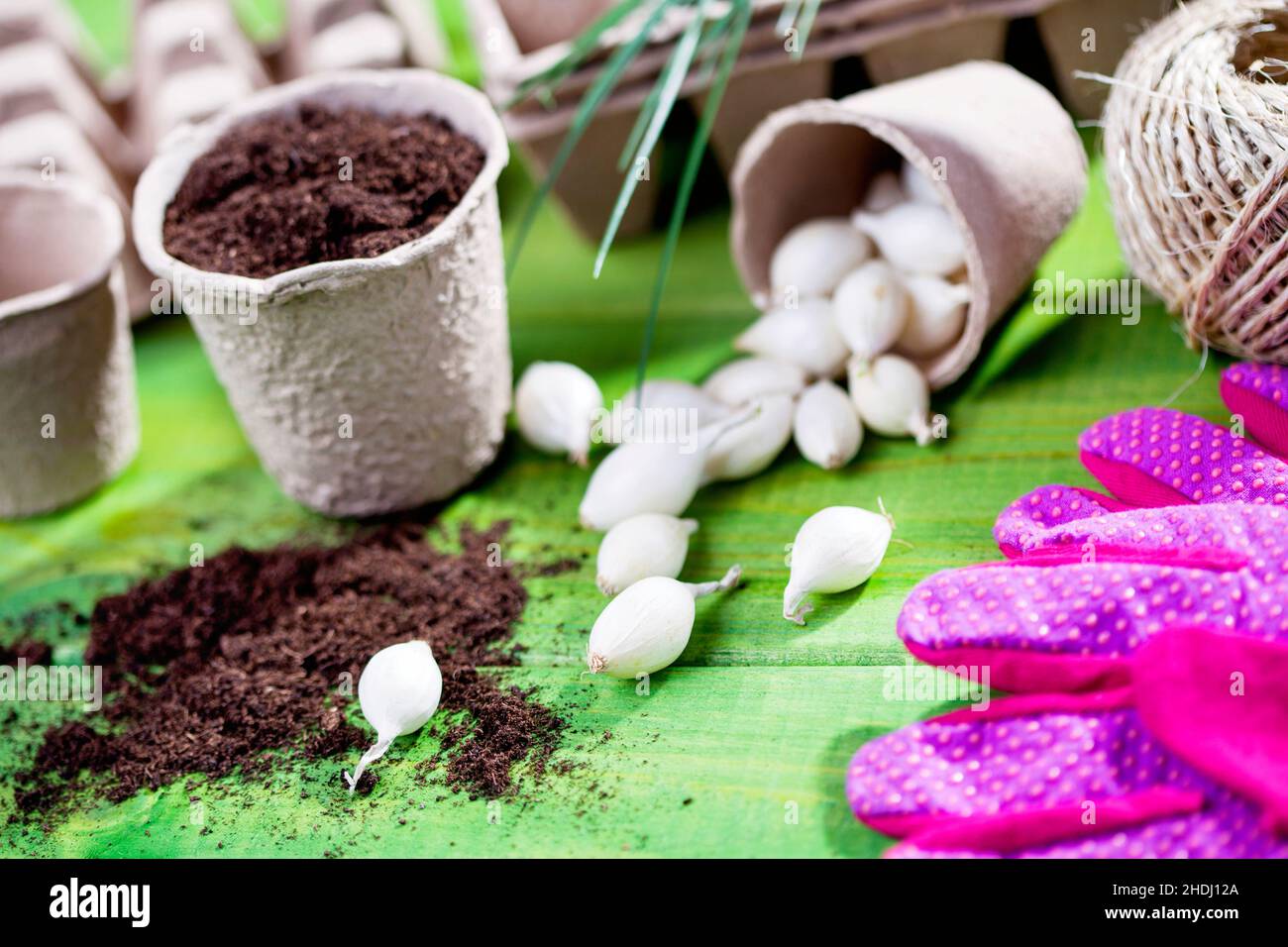 flower pot, planting, soil, cultivation, flower pots, grafting, soils