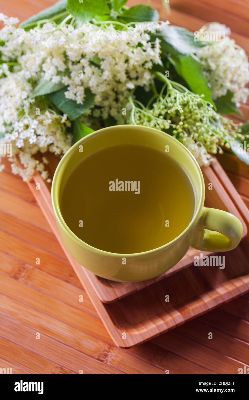 herbal tea, elder tea, herbal teas, elder teas Stock Photo Alamy