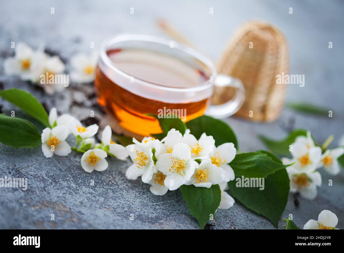 tea, jasmine tea, jasmine flower, teas, jasmine teas, jasmines Stock