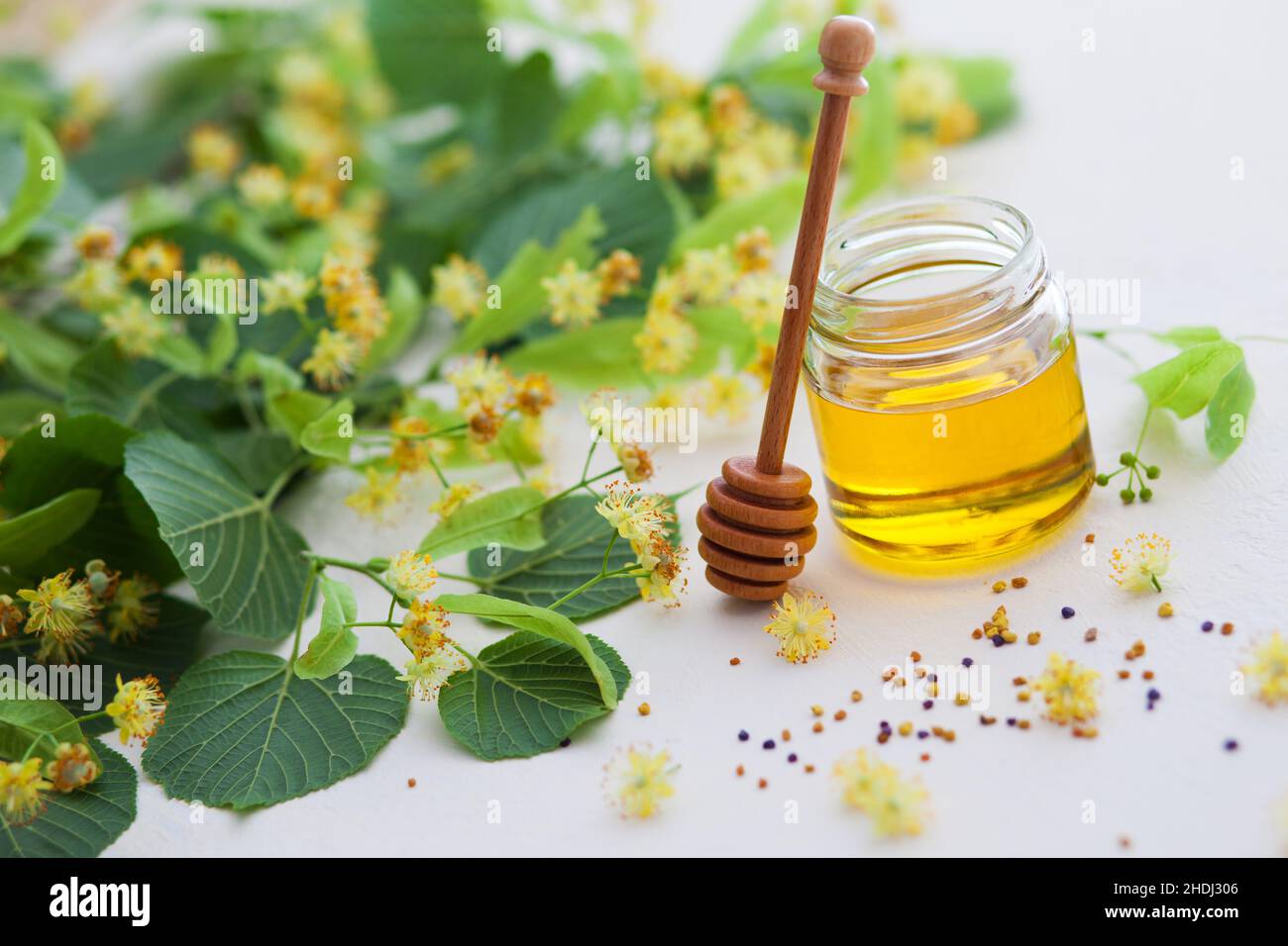 honey, lime blossom, limeblossom honey, honeys, lime blossoms, lime