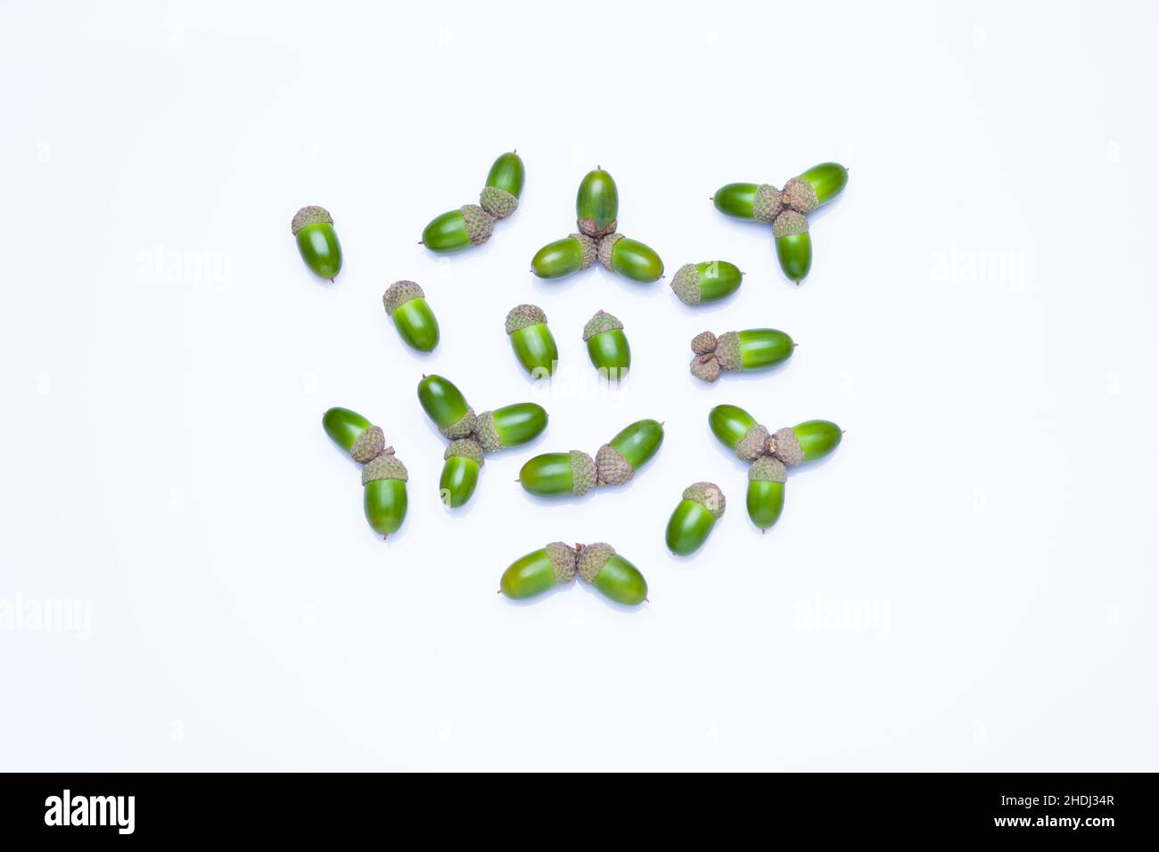 White oak acorns hi-res stock photography and images - Alamy