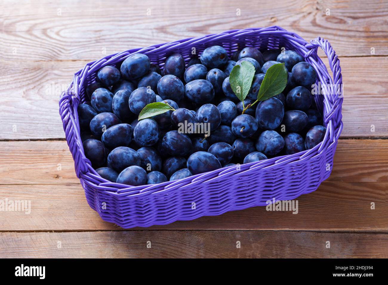 plums, plum harvest, plum, plum harvests Stock Photo Alamy