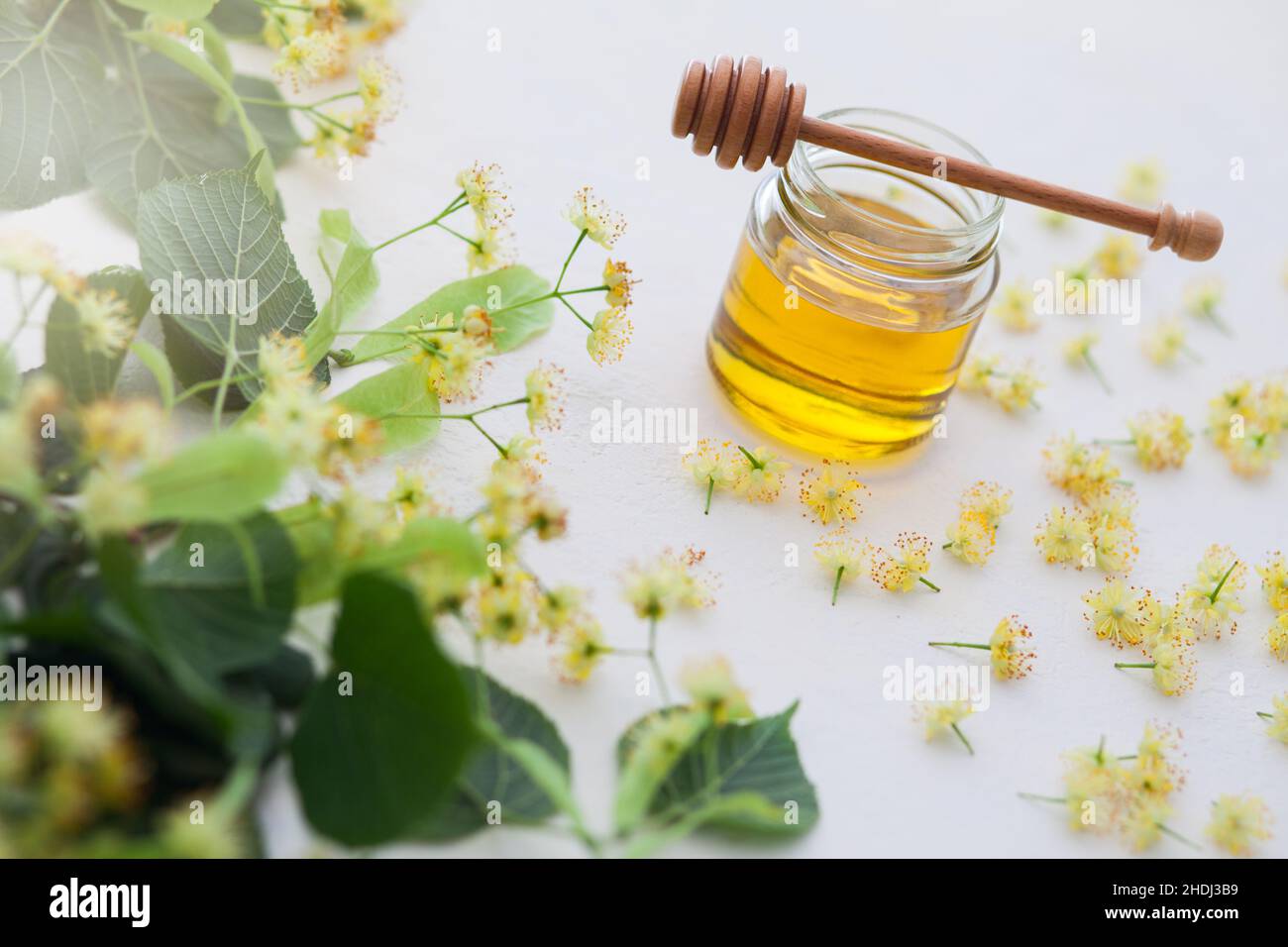 herbal medicine, limeblossom honey, herbal medicines Stock Photo Alamy