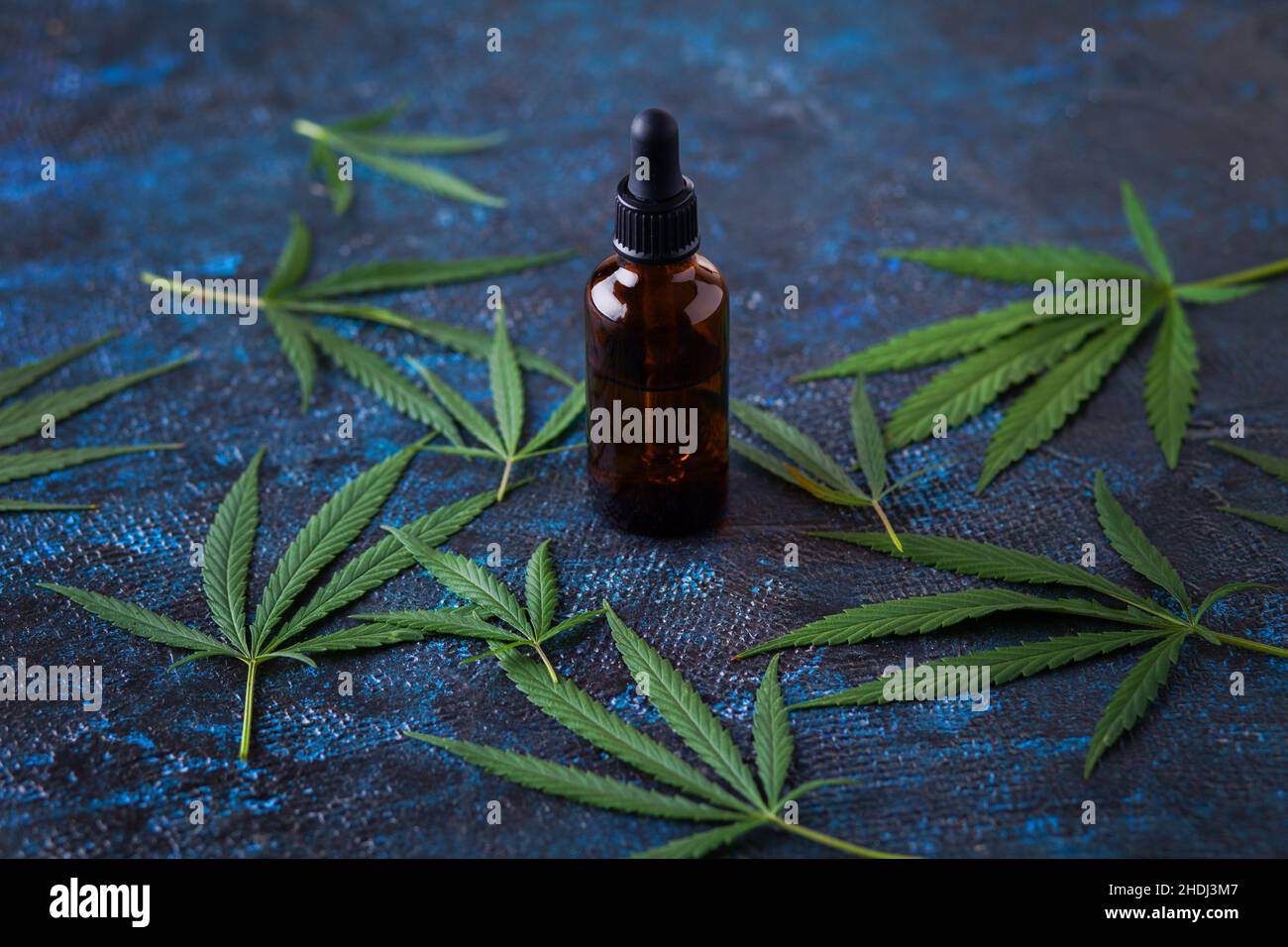 marijuana plant, medicinal plant, extract, marijuana plants, medicinal