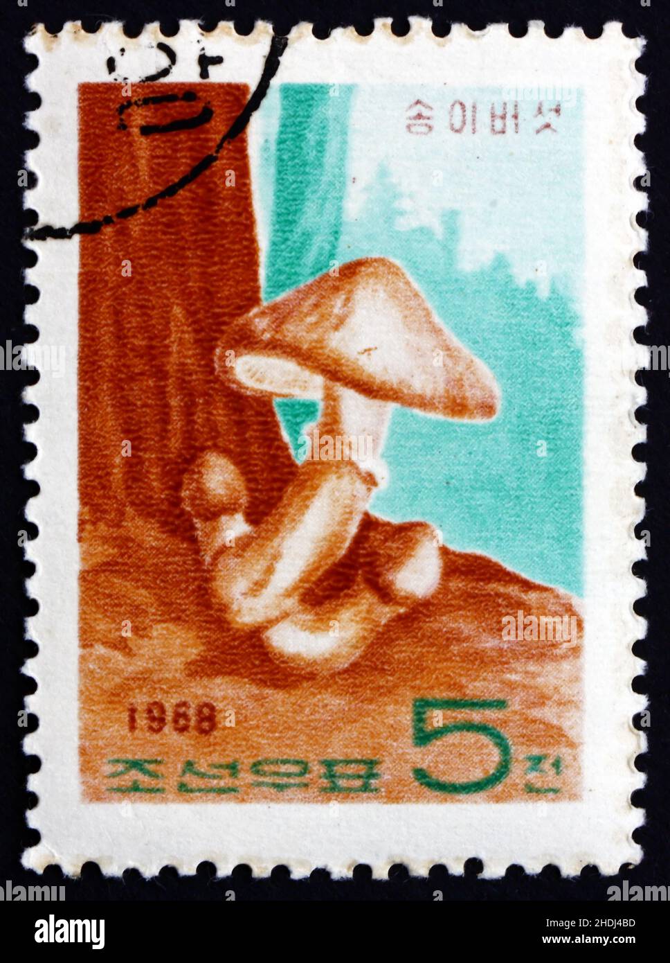 NORTH KOREA - CIRCA 1968: a stamp printed in North Korea shows Matsutake Pine Mushroom, Tricholoma Matsutake, circa 1968 Stock Photo