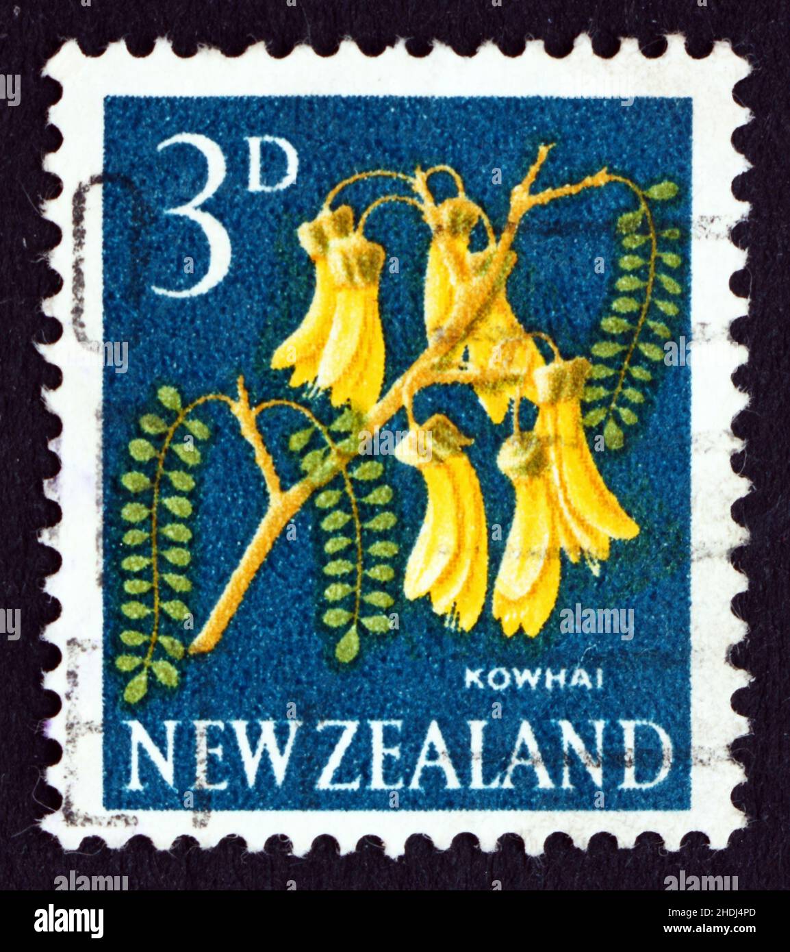 NEW ZEALAND - CIRCA 1961: a stamp printed in the New Zealand shows Kowhai Flower, Sophora, Legume Tree, circa 1961 Stock Photo
