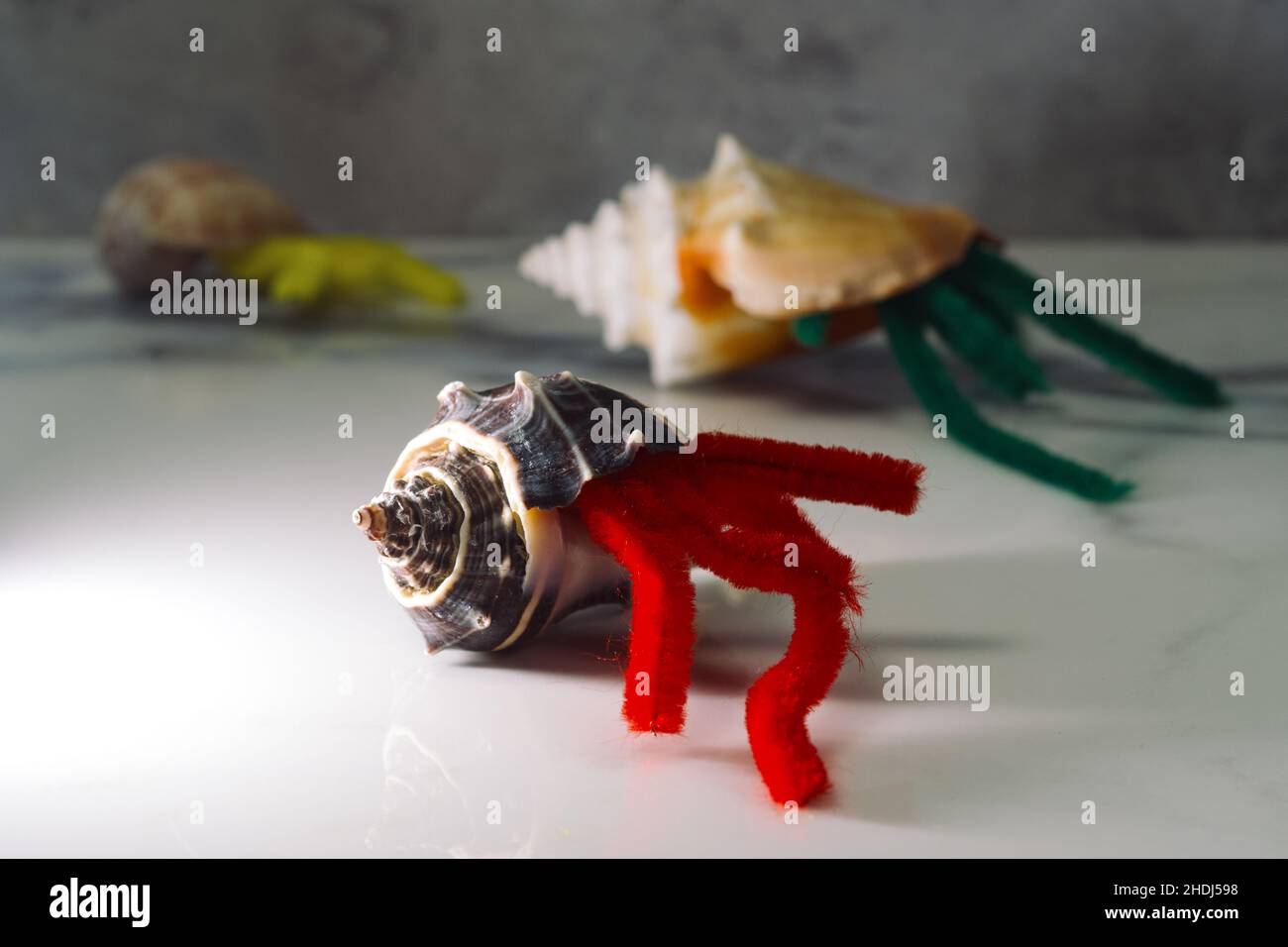 Dried up pipe cleaner hermit crabs in shells concept Stock Photo Alamy