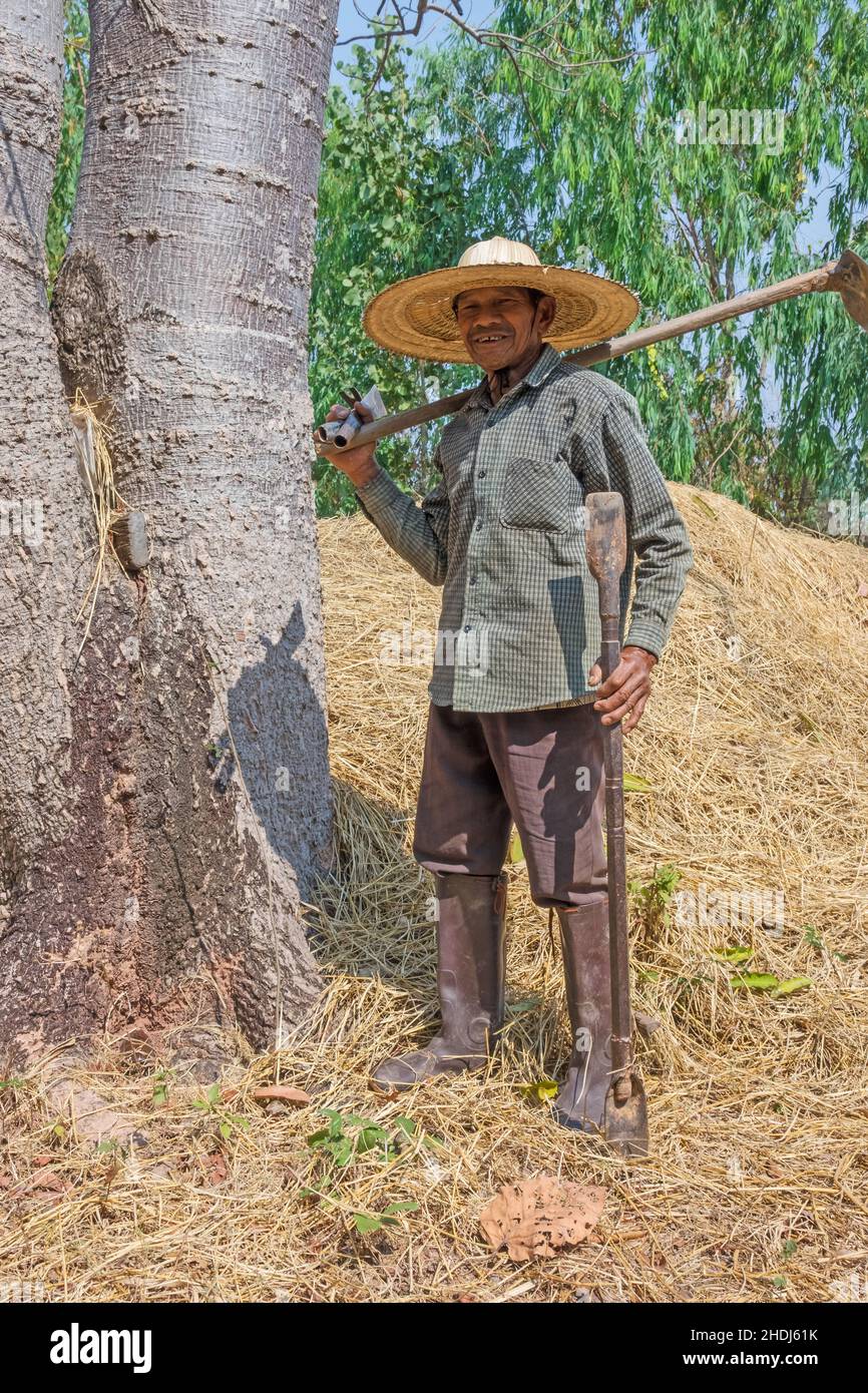 farmer, thailand, farmers, thailands Stock Photo