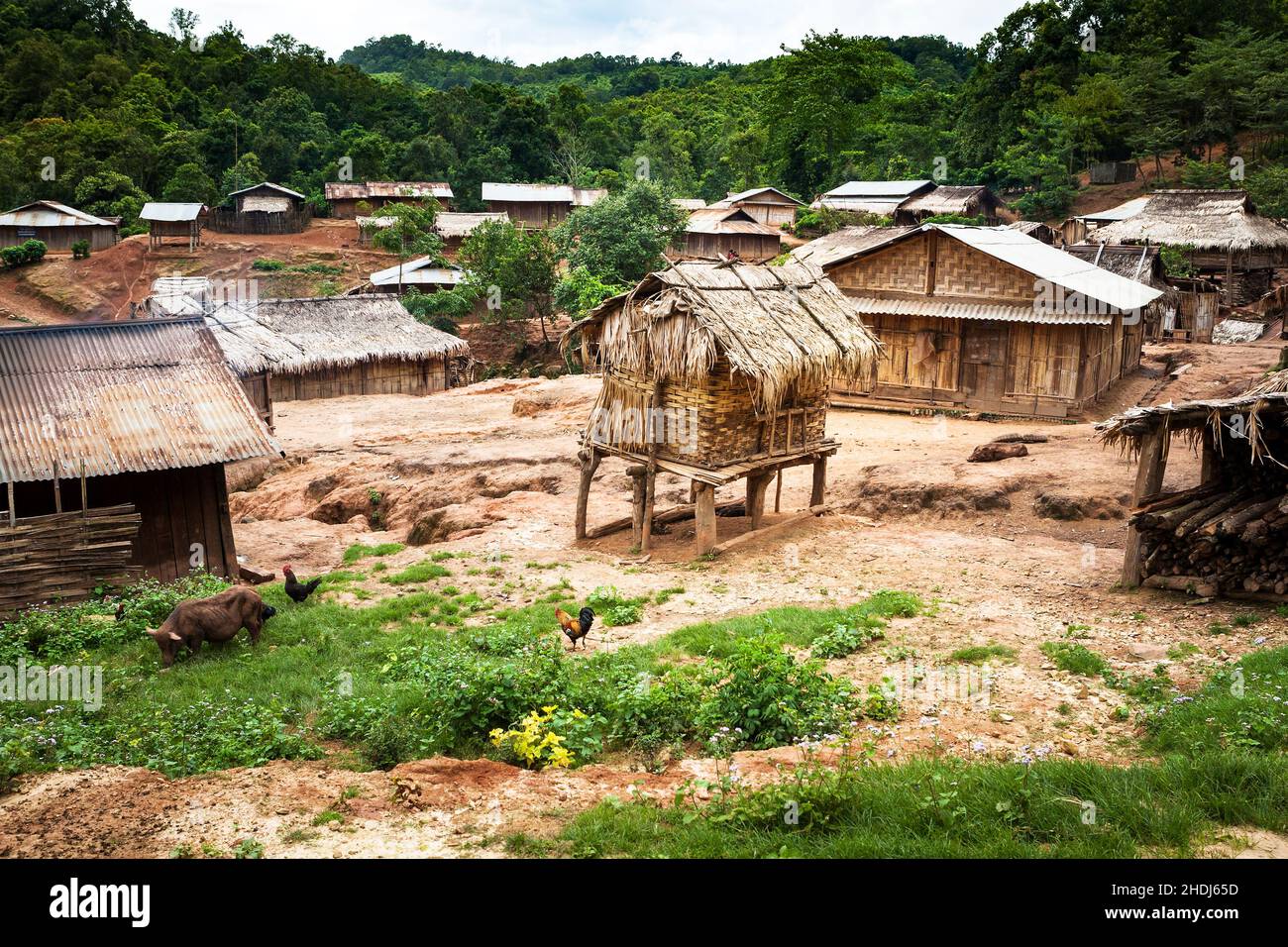 jungle, village, laos, rainforest, villages Stock Photo Alamy