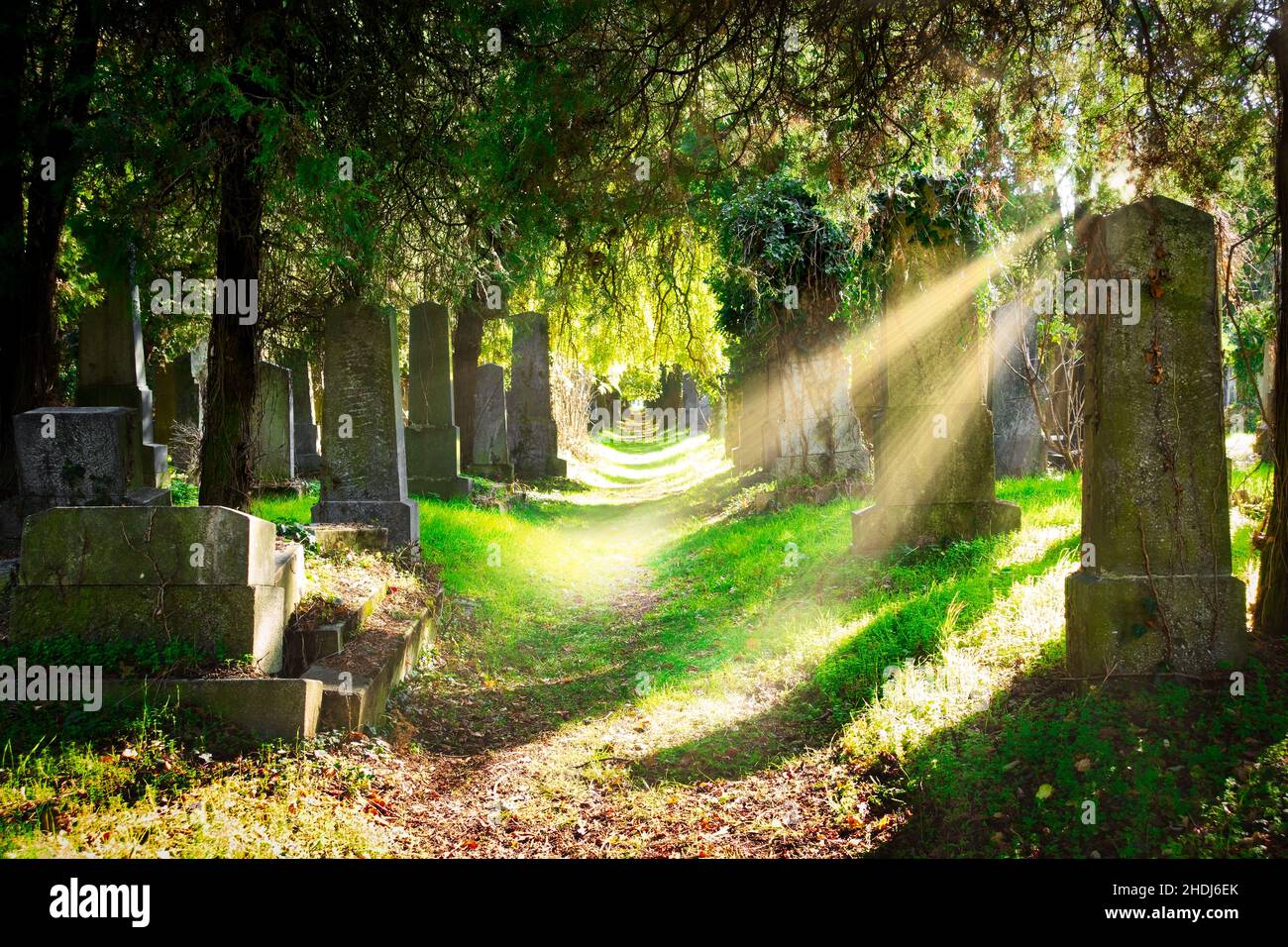 cemetery, sunbeams, cemeteries, sun beams, sun ray, sun rays, sunbeam