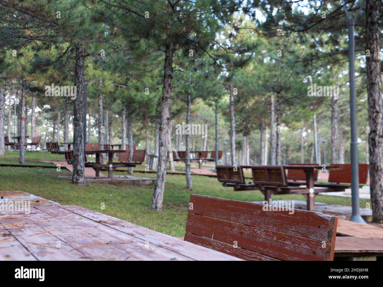 Picnic and barbeque area, picnic table and outdoor activity park