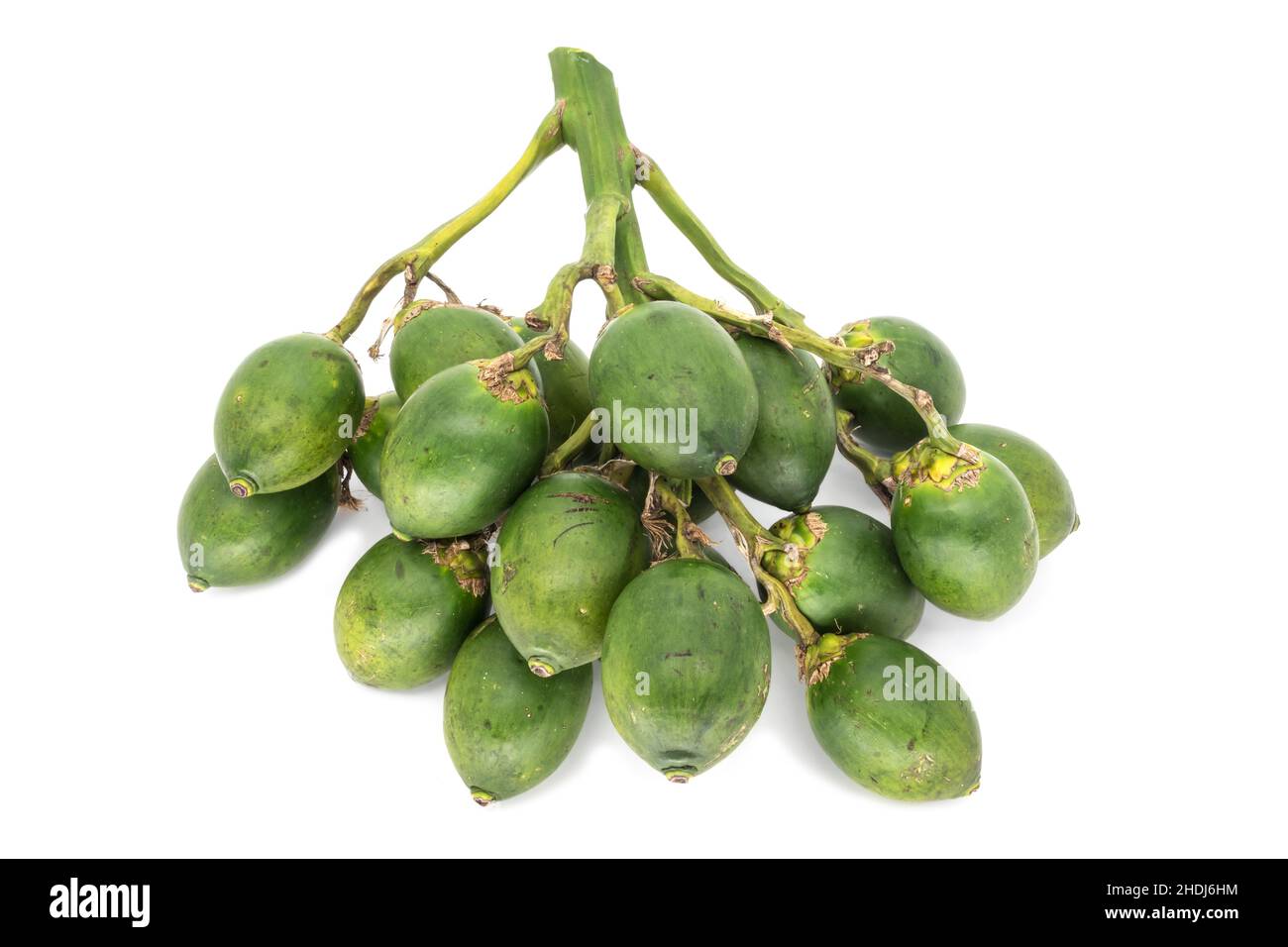 betel nut, betel nuts Stock Photo Alamy