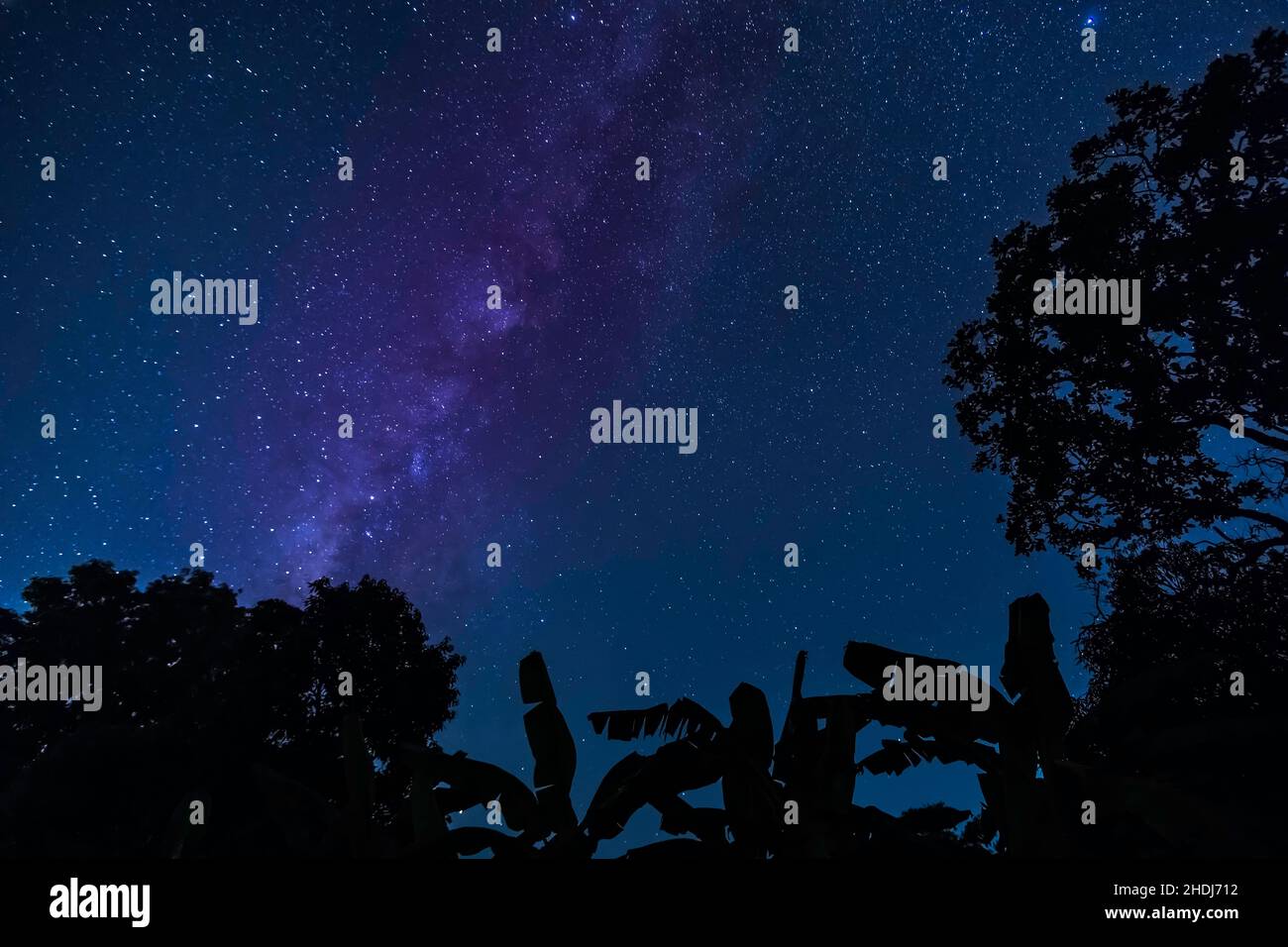 stars sky, night sky, star, night skies Stock Photo