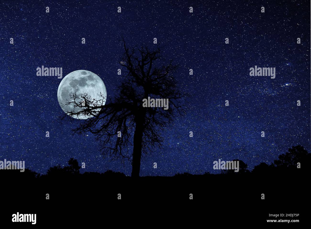 full moon, stars sky, night sky, full moons, star, night skies Stock Photo