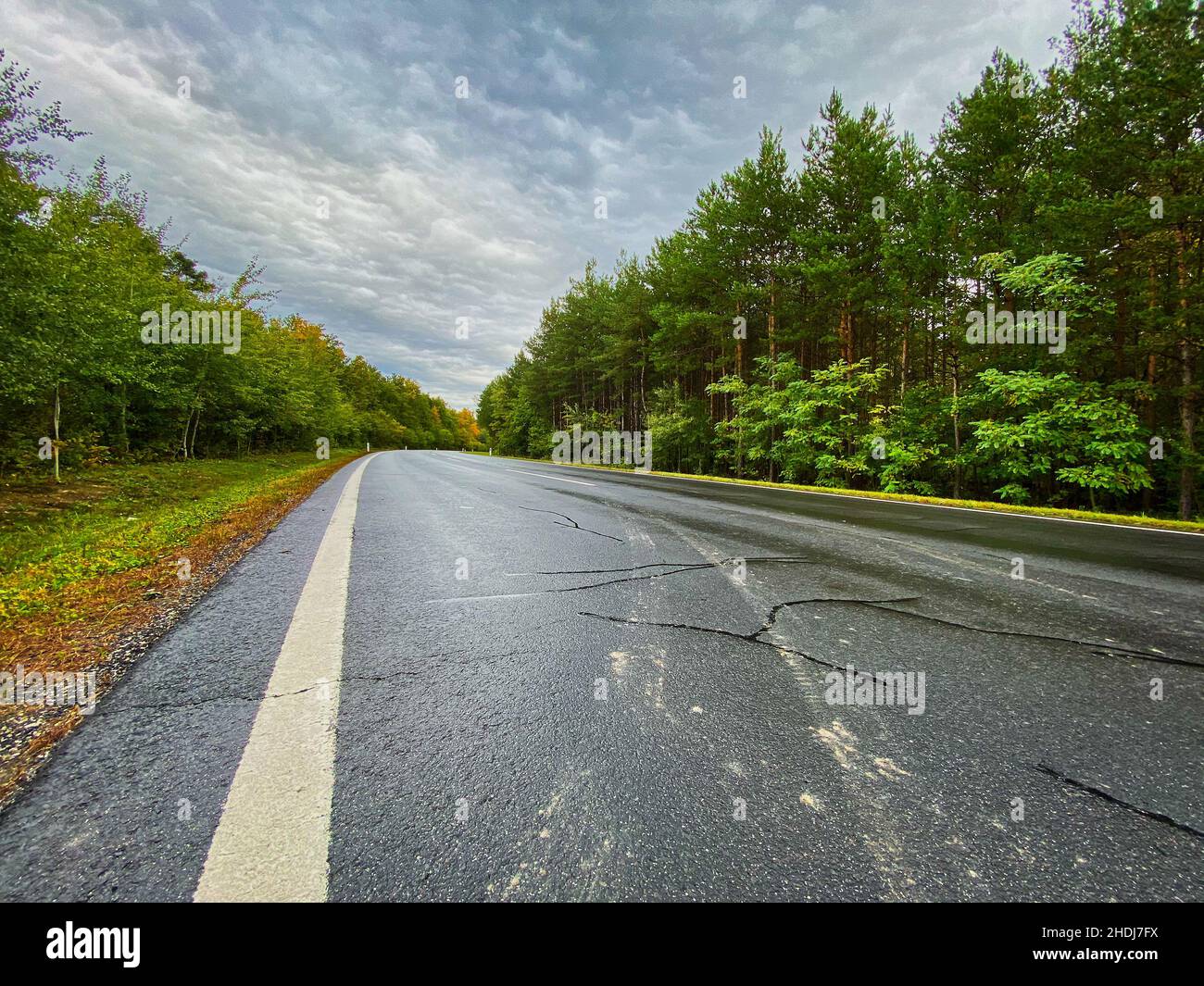 asphalt, tire track, road, asphalts, tire tracks, roads, street