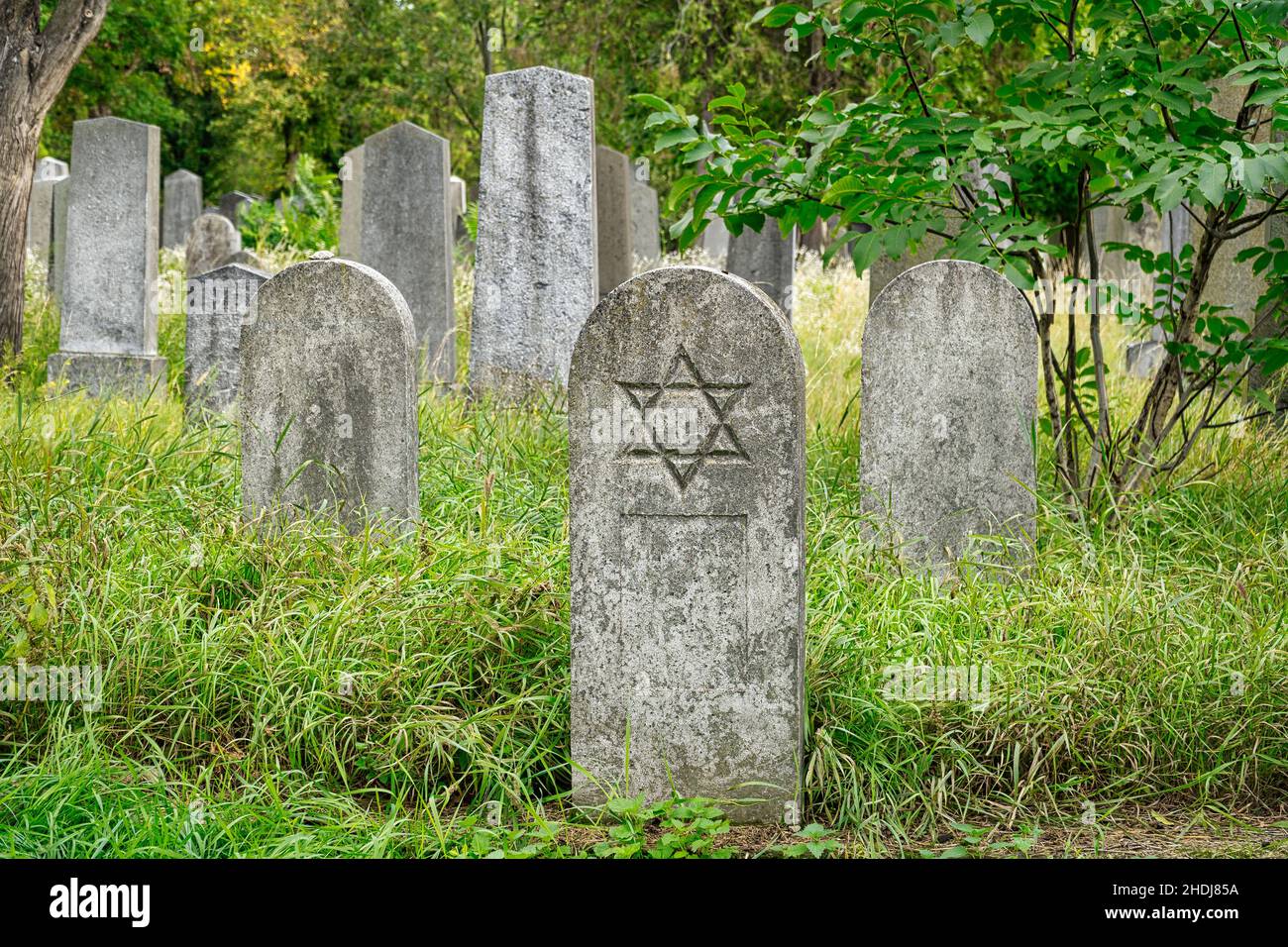gravestone, jewish cemetery, star of david, gravestones, headstone