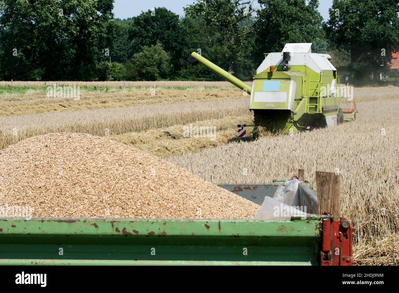 harvest, combine, harvesting, harvests, combines, harvester, havester