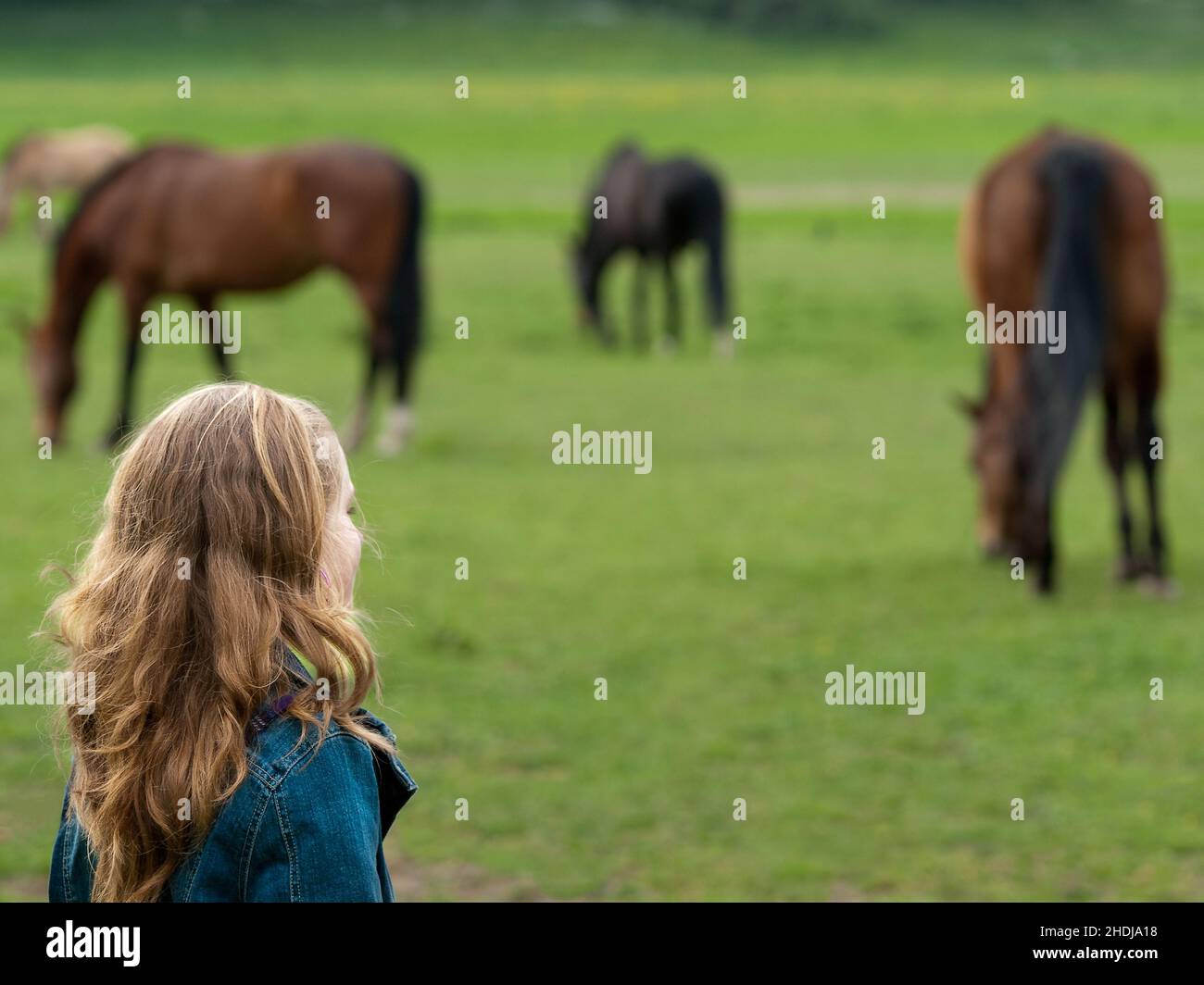 girl, horse, girls, horses Stock Photo Alamy