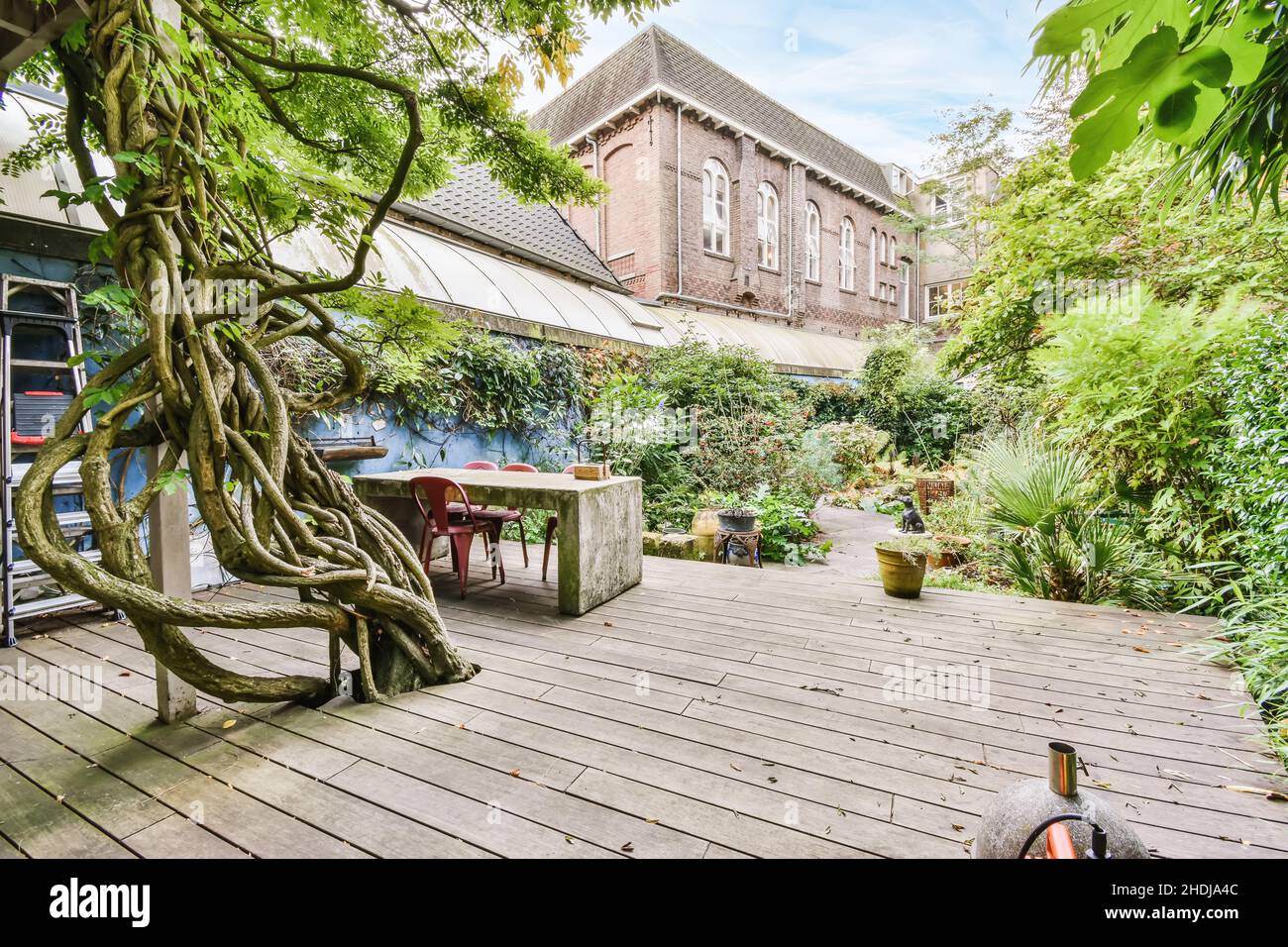 Delightful home courtyard with green trees and plants Stock Photo - Alamy