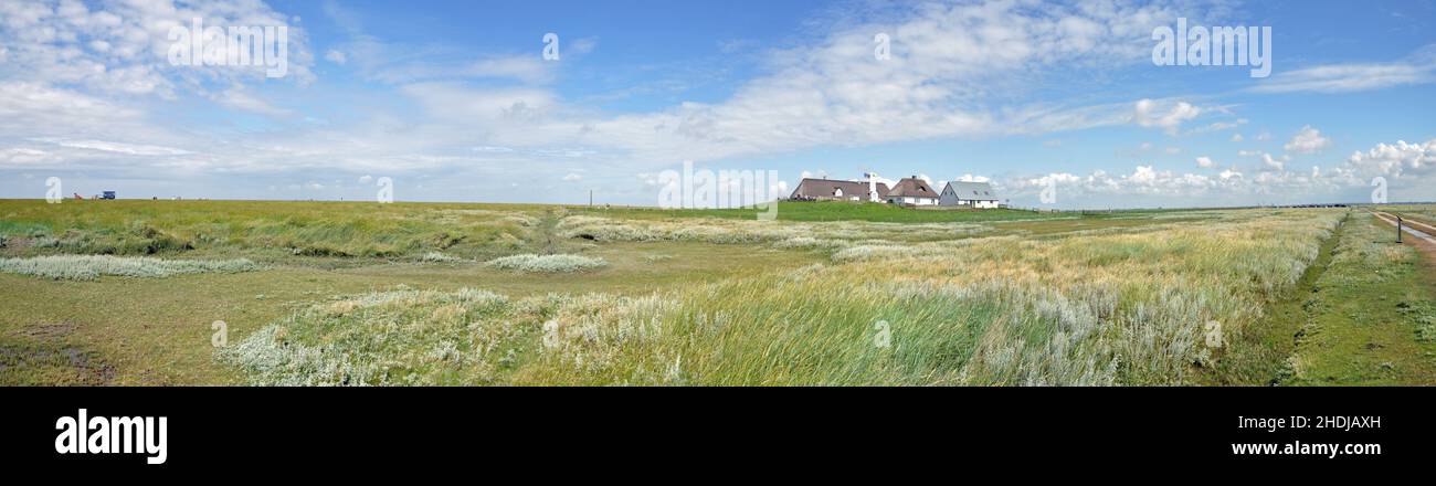 northern friesland, hallig, hamburger hallig, northern frieslands, halligs Stock Photo