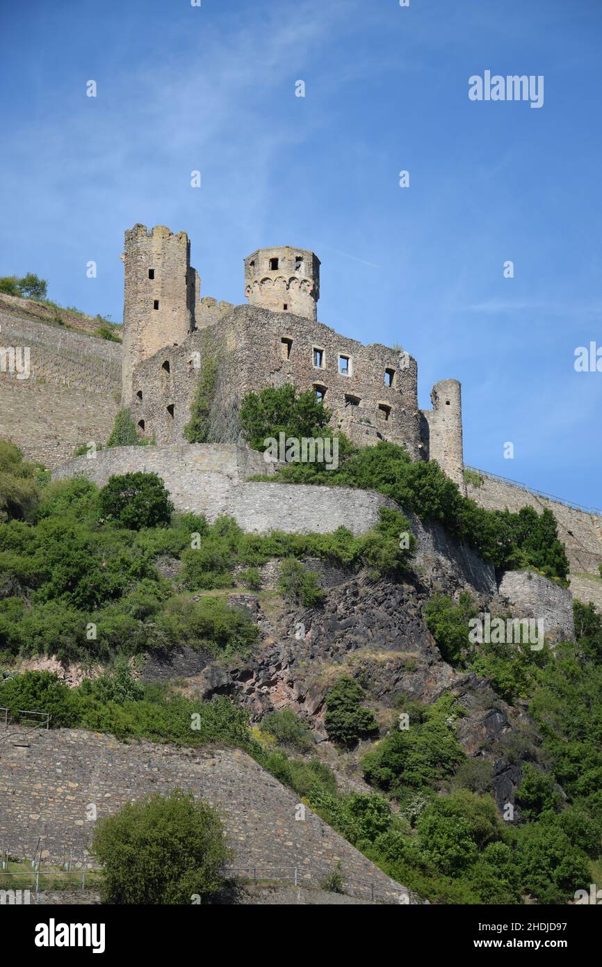 ruins, ehrenfels castle, ruin, chalices, communion cup, communion cups Stock Photo