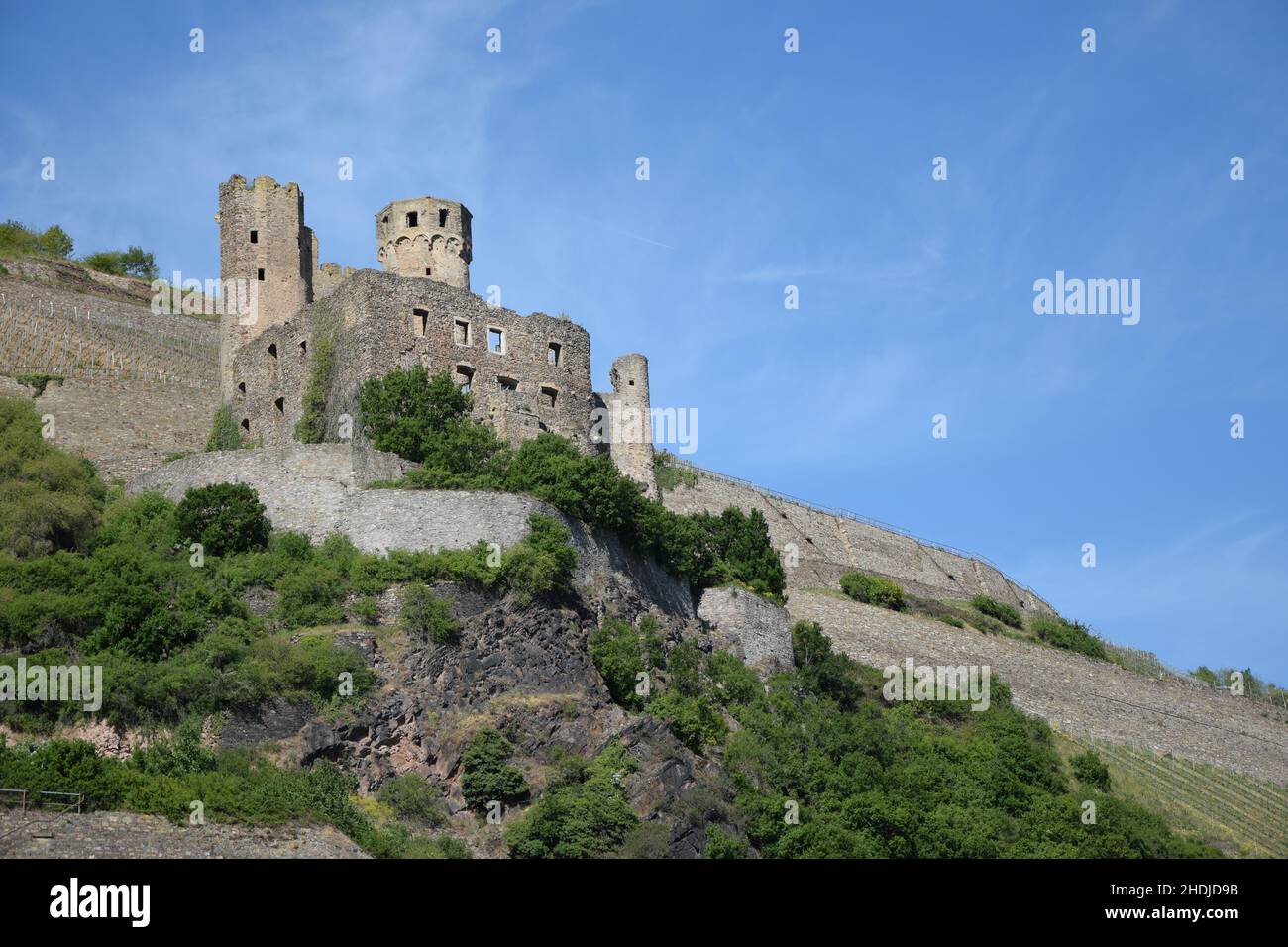 ruins, ehrenfels castle, ruin, chalices, communion cup, communion cups Stock Photo