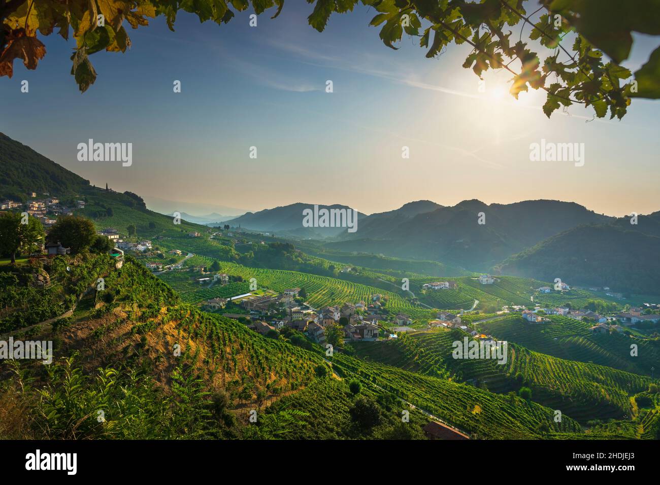 Prosecco Hills, vineyards panoramic landscape in the morning and leaves as a frame. Unesco World Heritage Site. Valdobbiadene, Treviso province, Venet Stock Photo