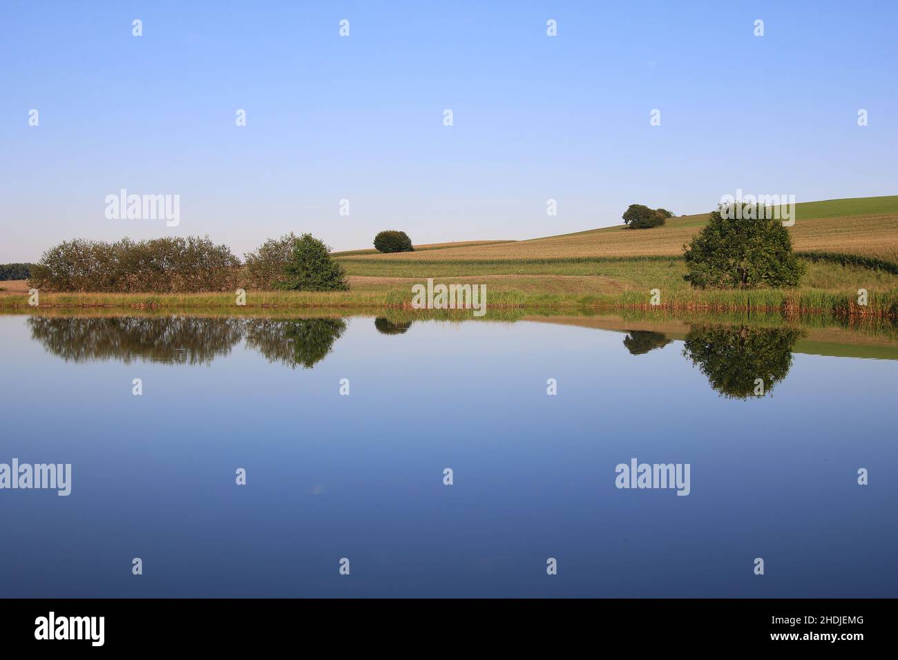 Natures mirror image hi-res stock photography and images - Alamy