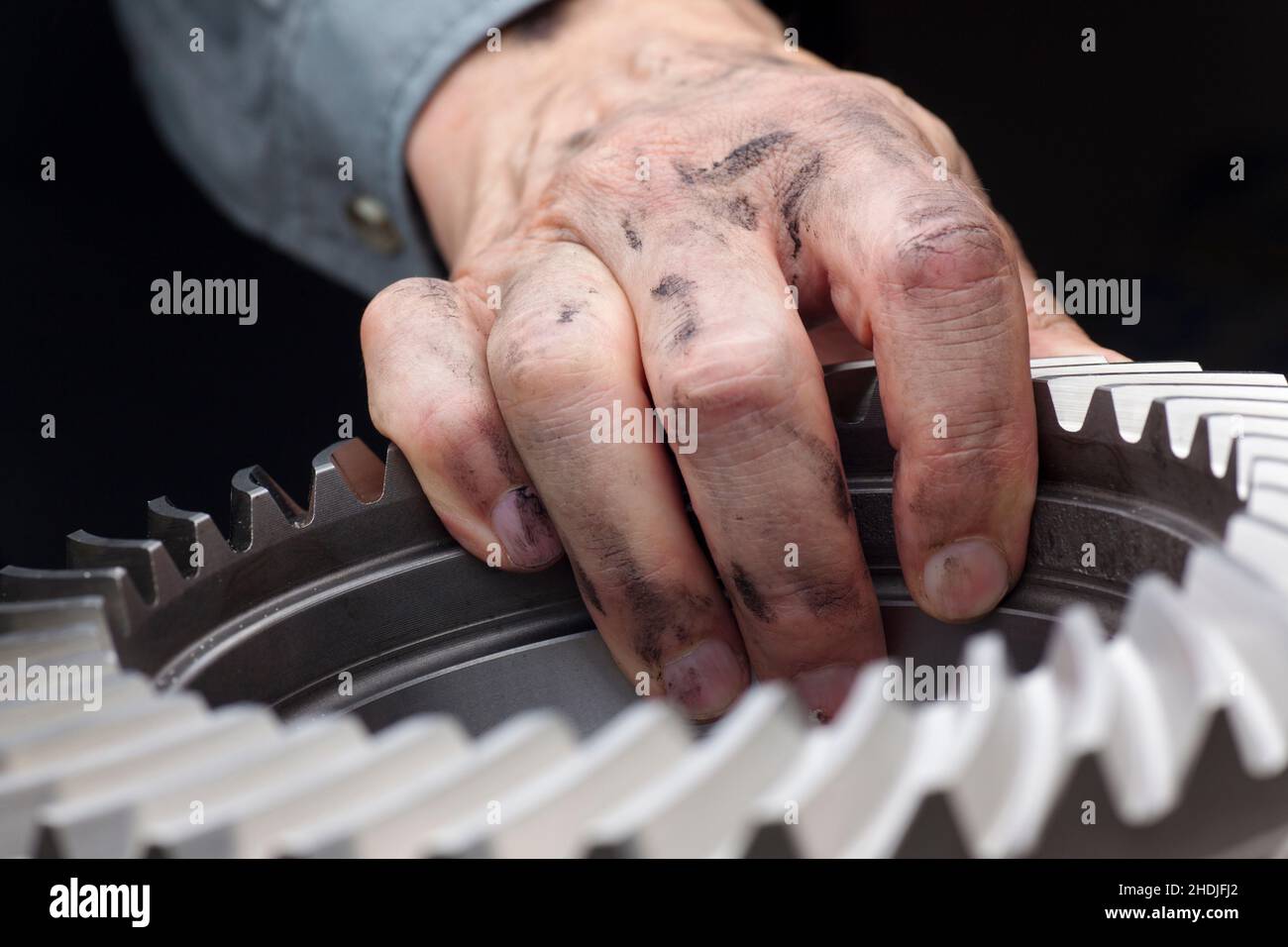 gear, reaching, lubricant, gears, lubricants, oil Stock Photo Alamy