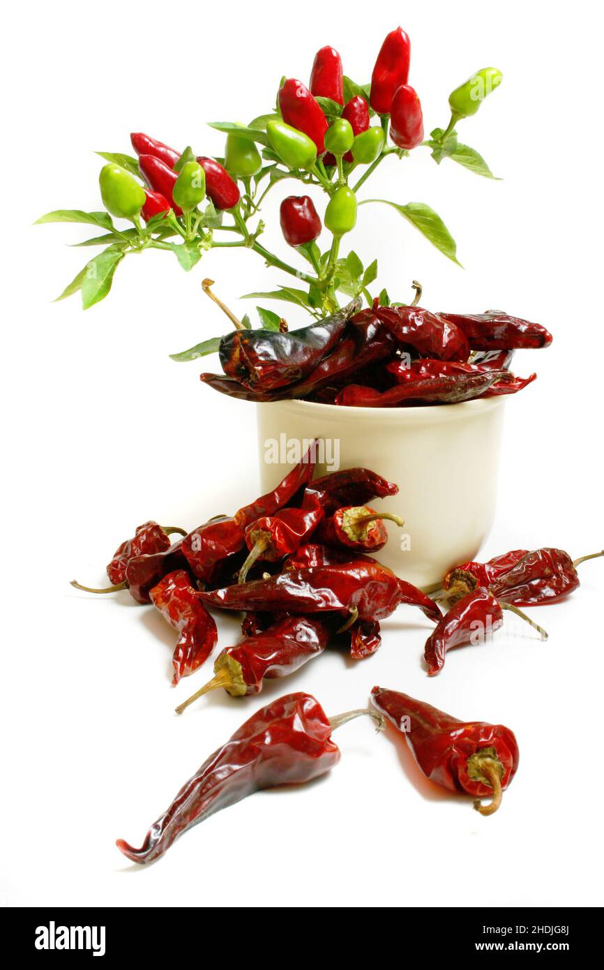 spices & ingredients, pepperoni, pepper, spices and ingredients